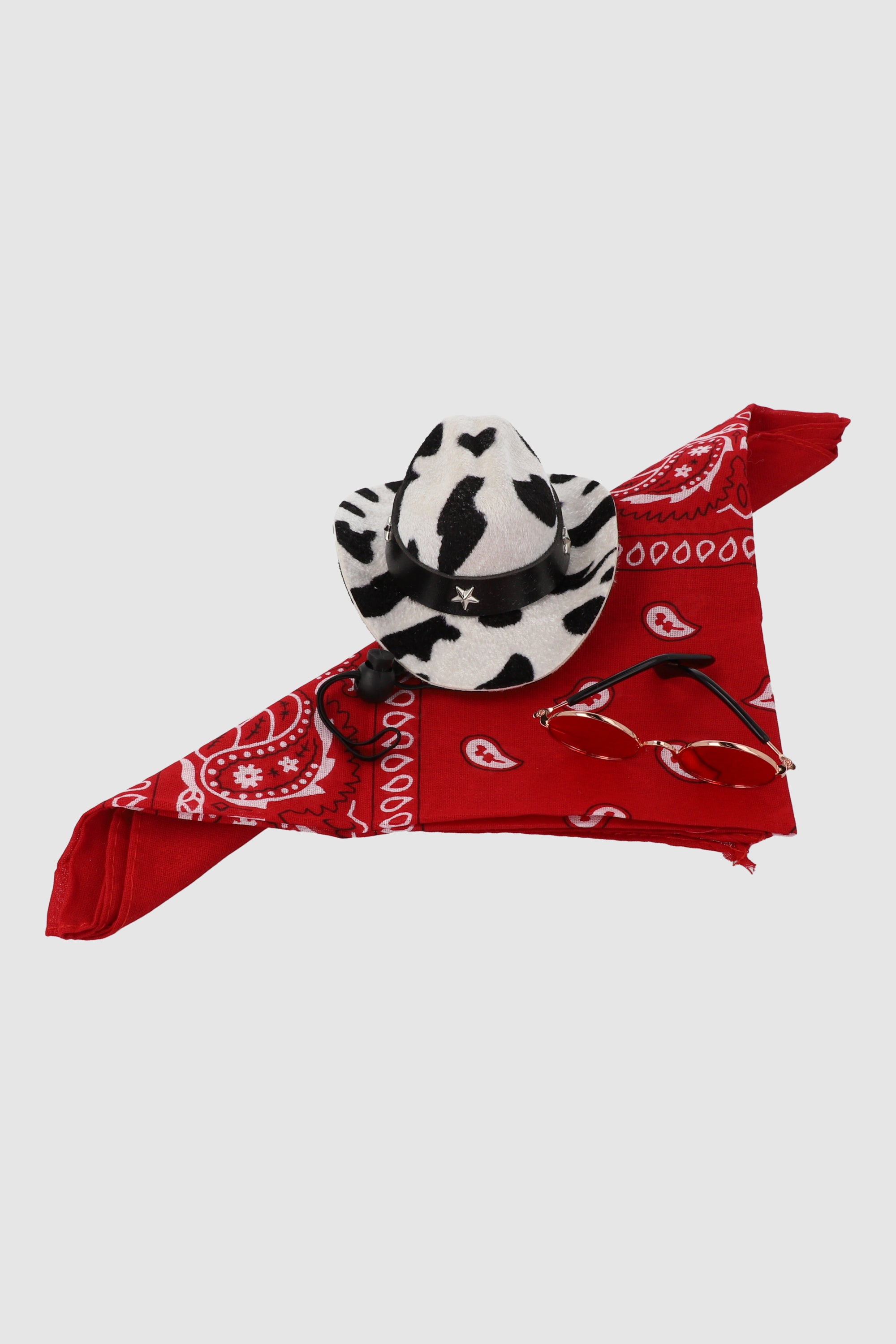 Set de accesorios mascota vaquero ROJO