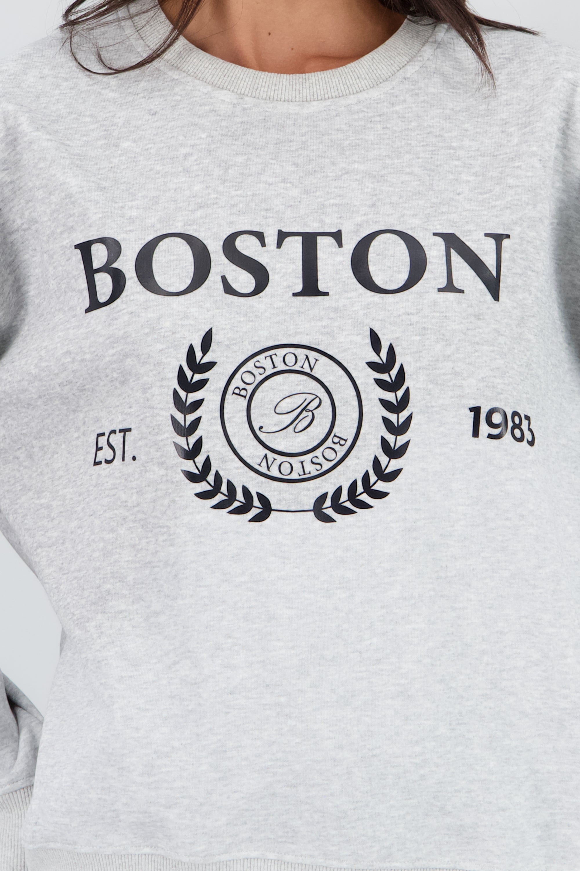 Sudadera Boston GRIS