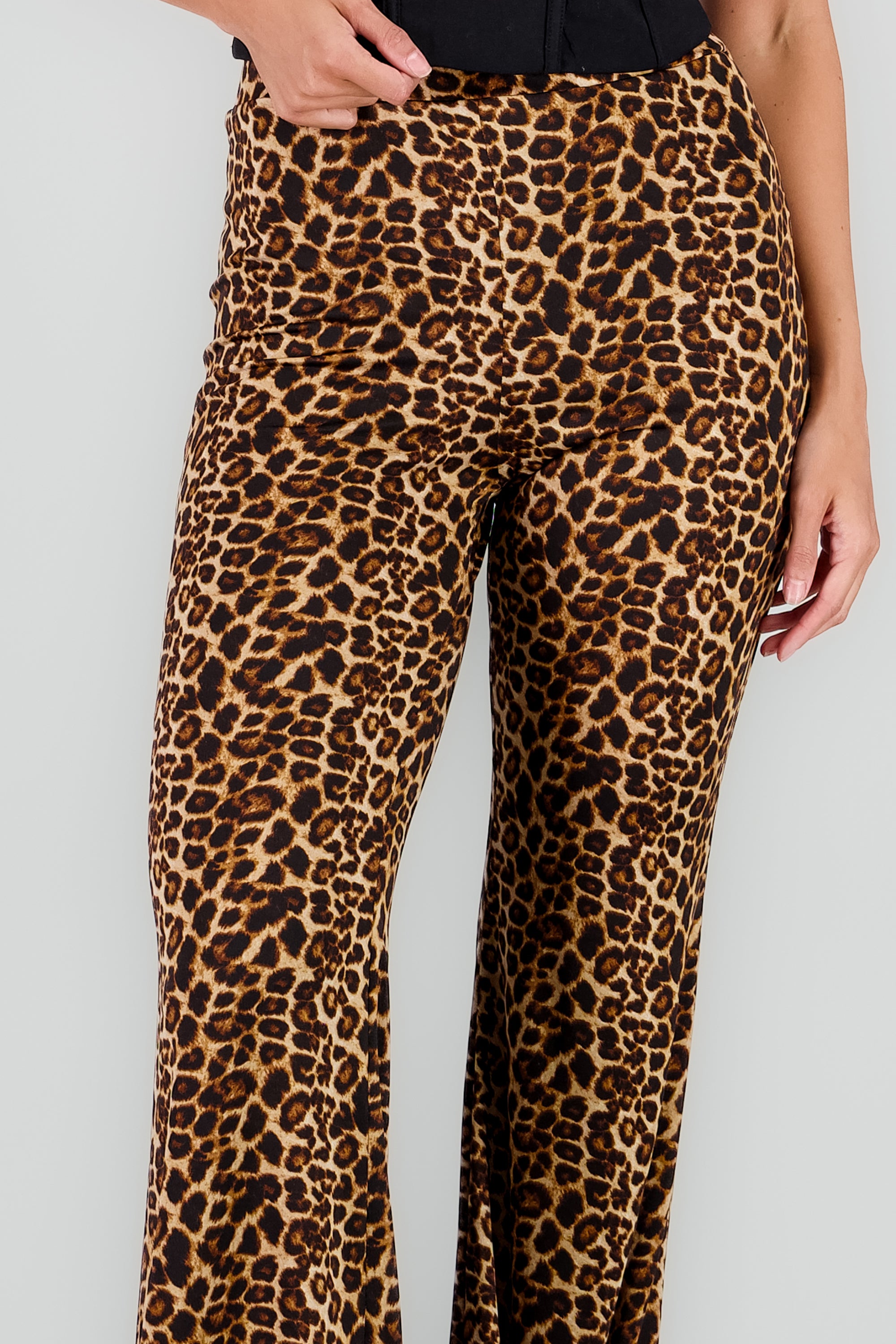 Pantalon flare animal print CAFE COMBO