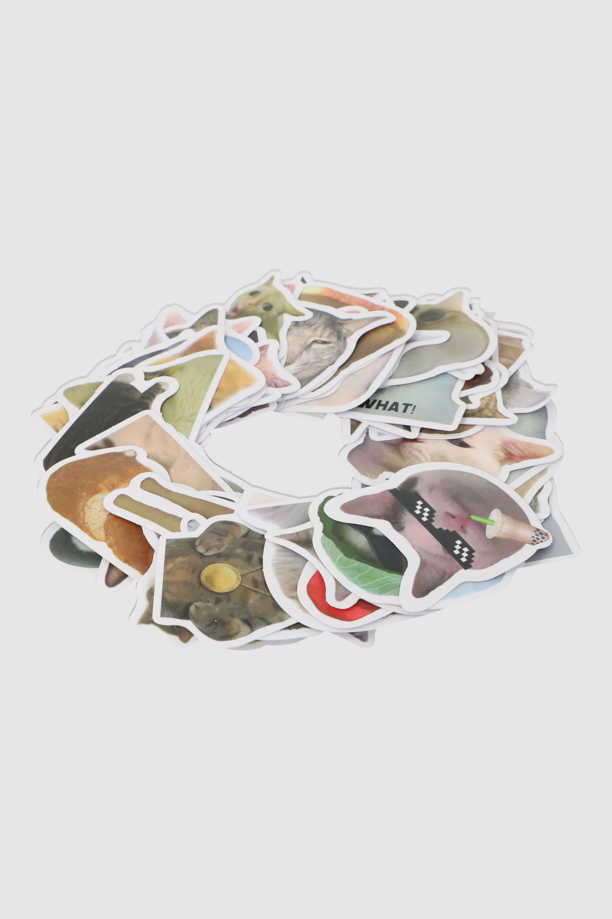 Set 50 stickers gatos divertidos MULTICOLOR
