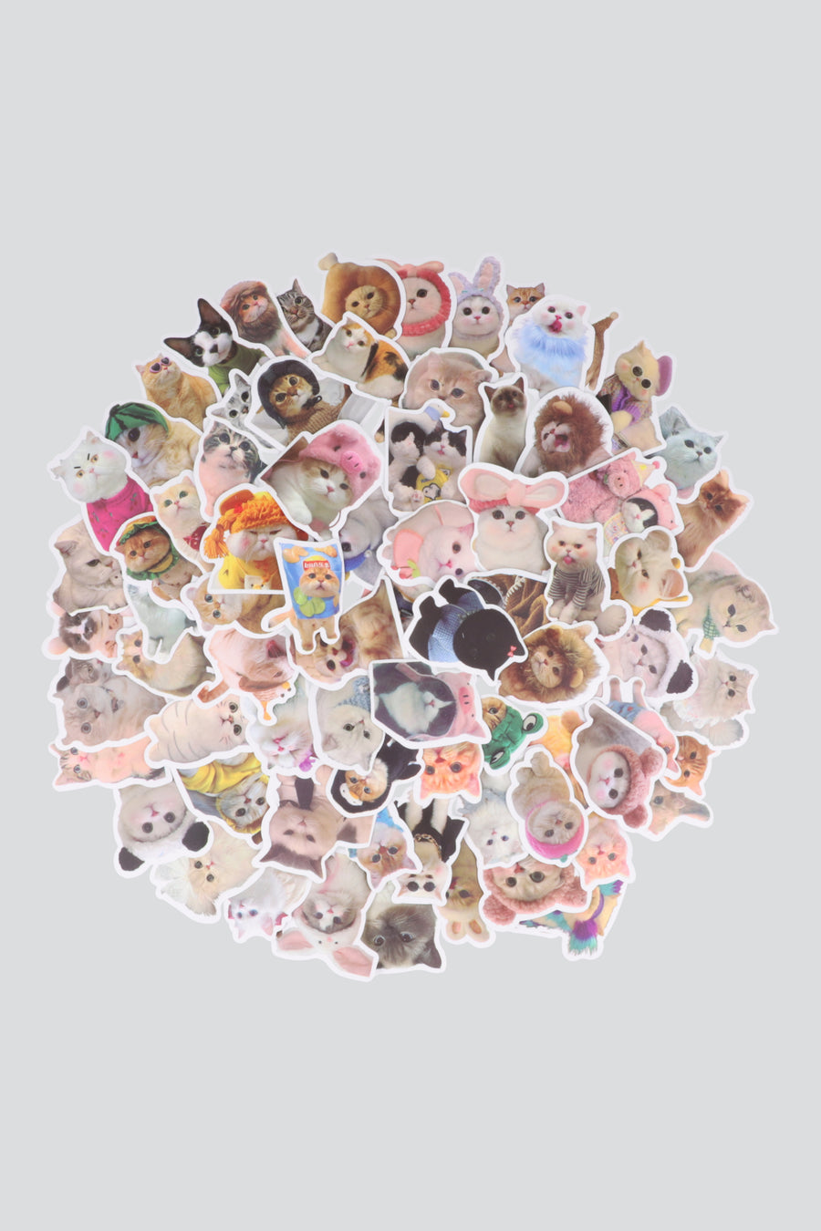 Set 100 stickers gatos