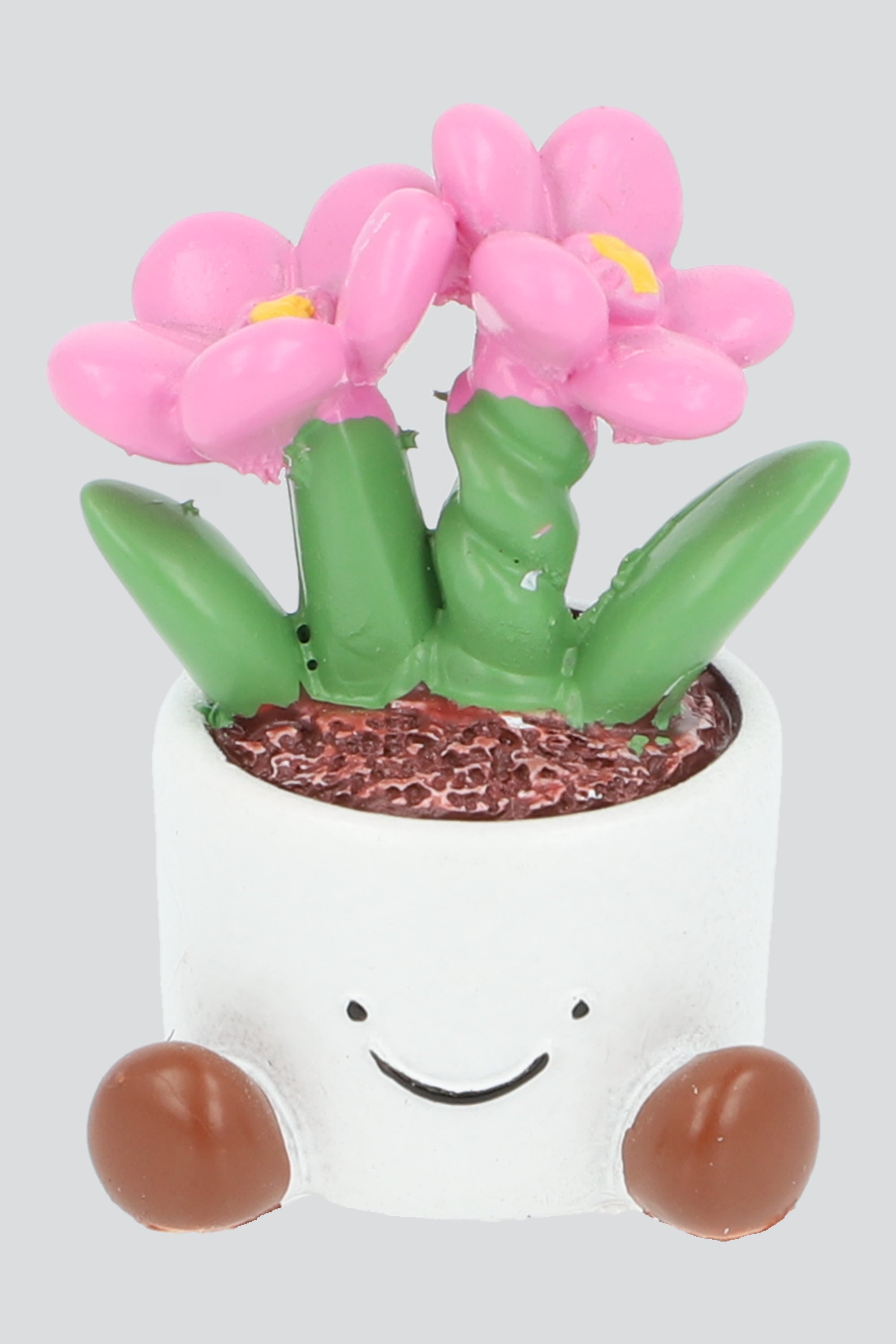 Iman plantita ROSA
