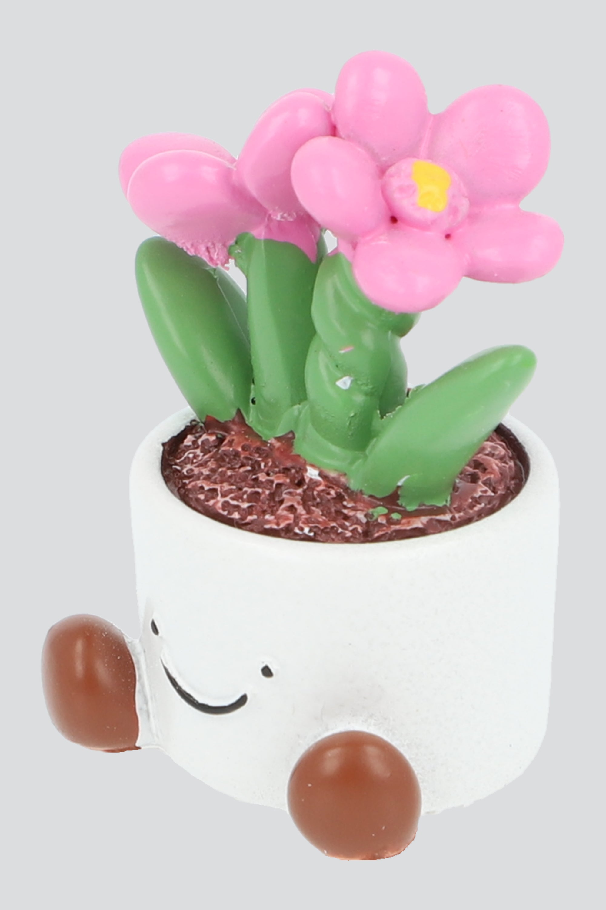 Iman plantita ROSA