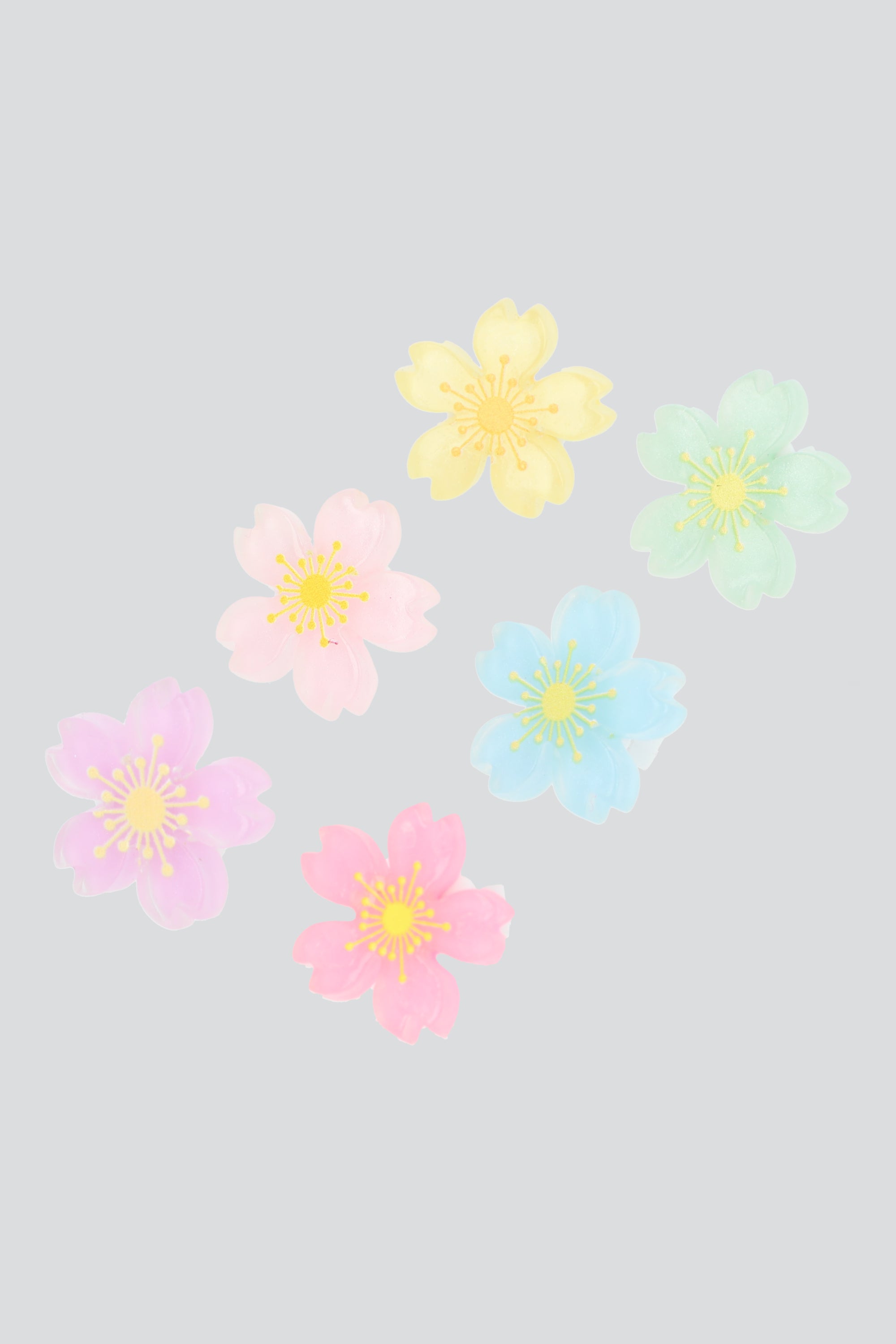 Set 6 flores shoe charm MULTICOLOR