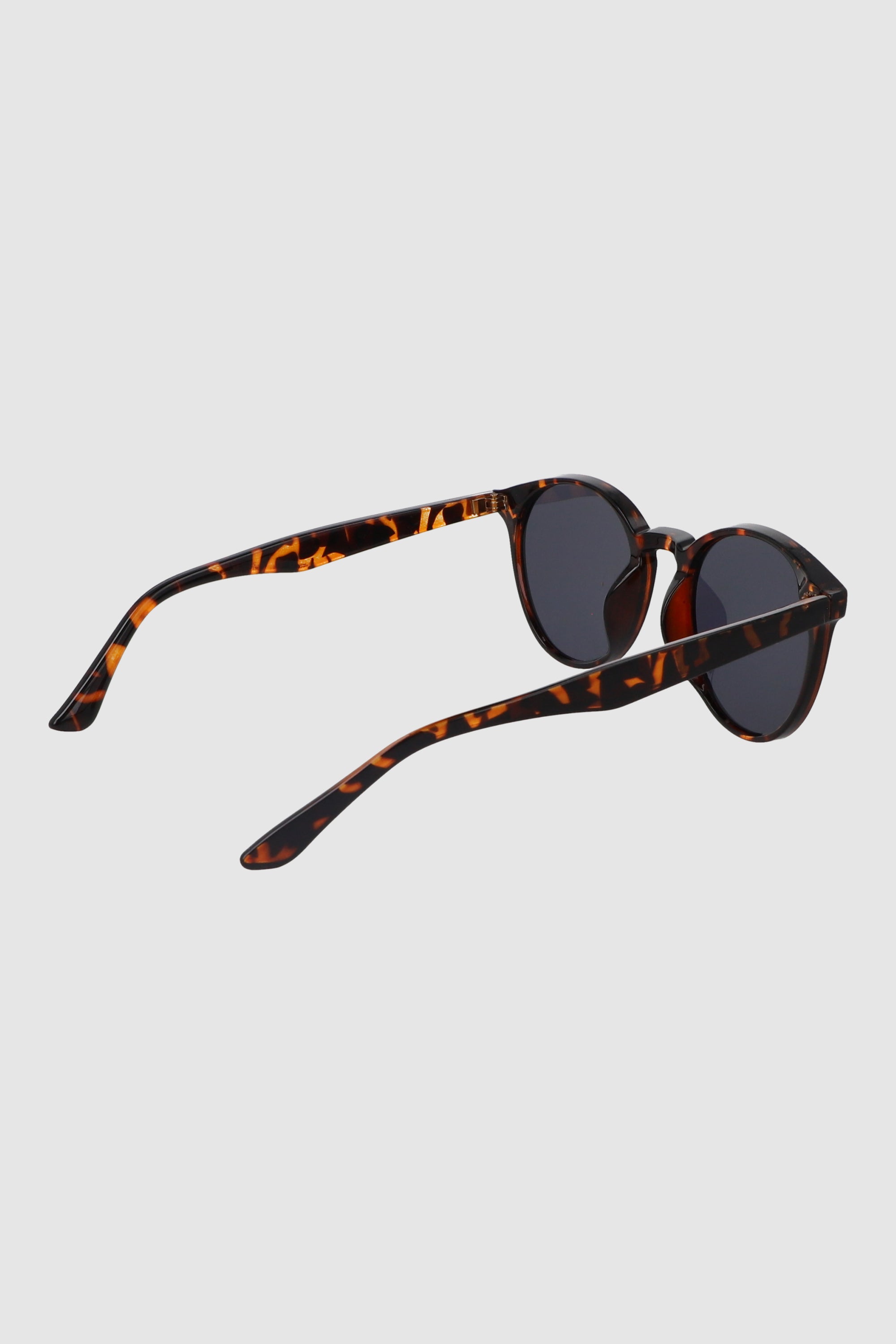 Lentes circular pasta CAFE