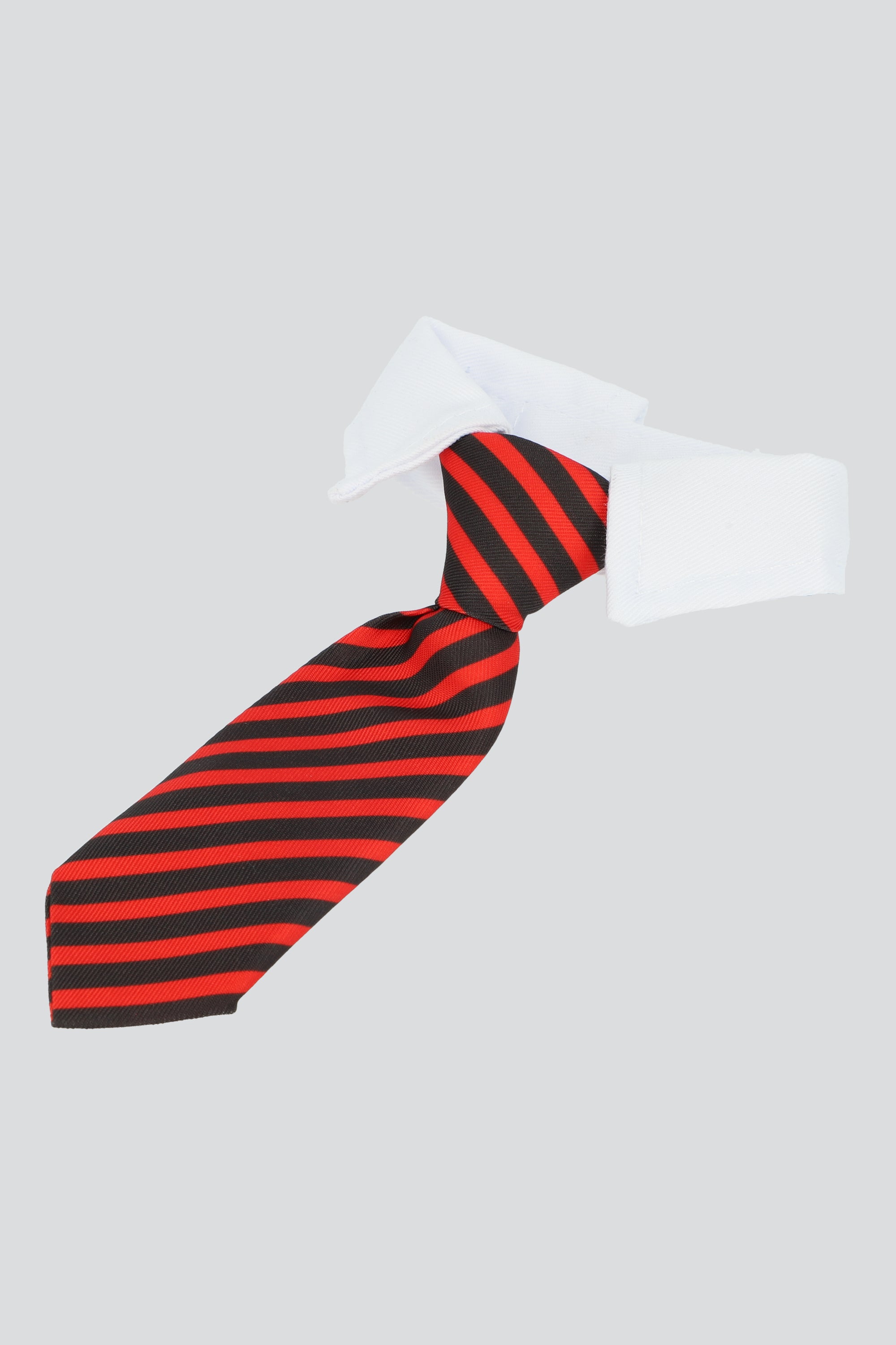 Collar mascota elegante 26cm ROJO