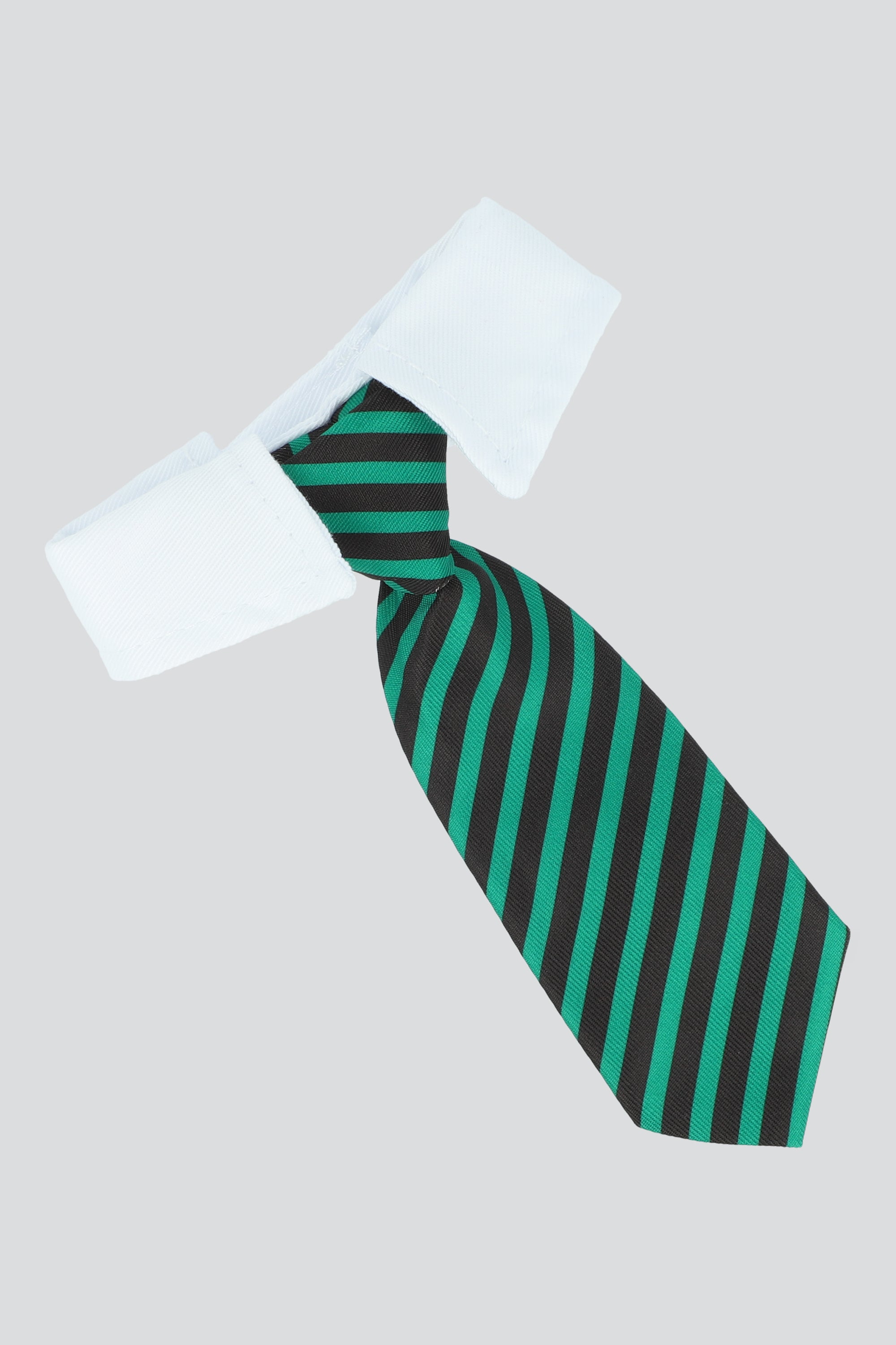 Collar mascota elegante 26cm VERDE