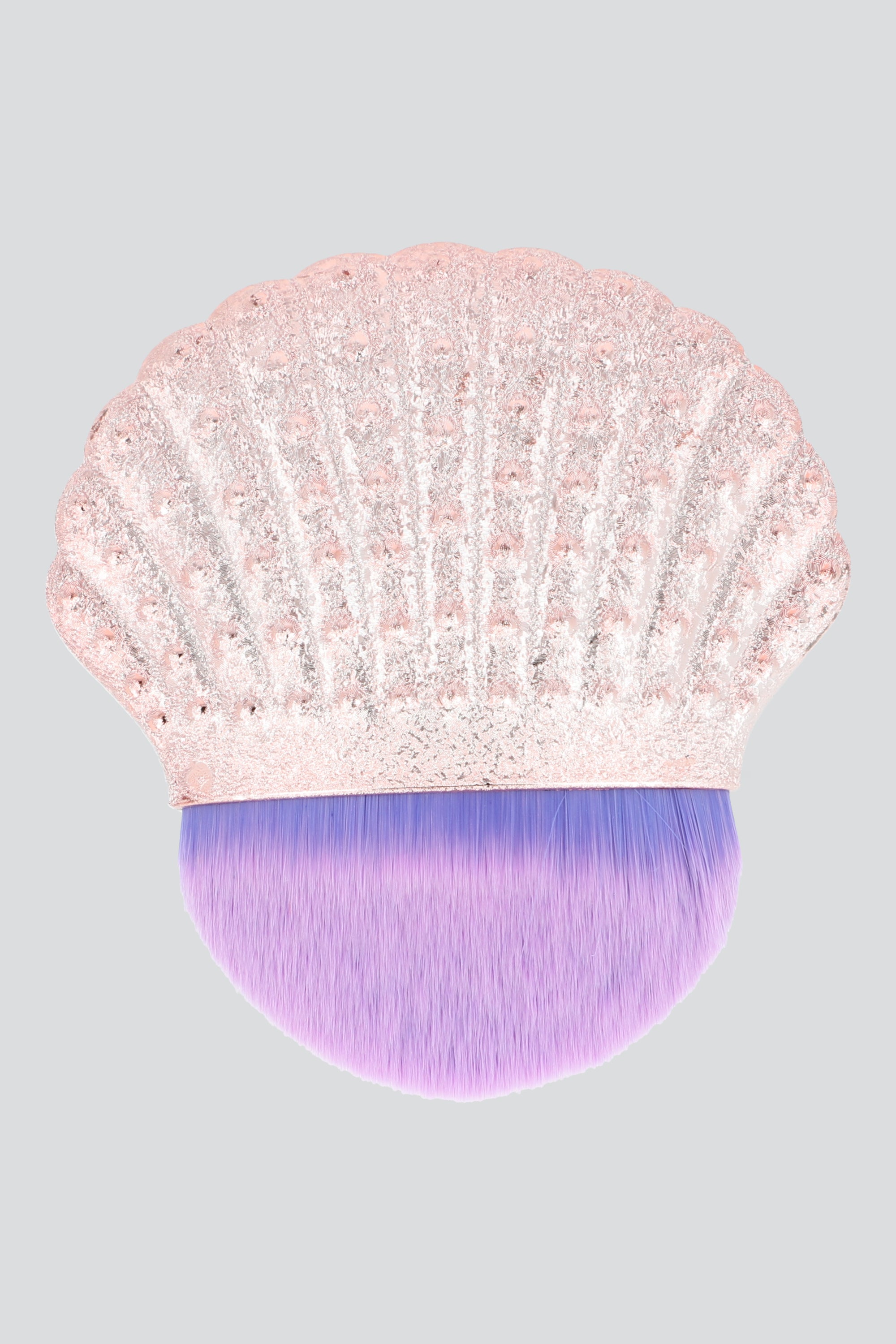 Brocha concha efecto MORADO