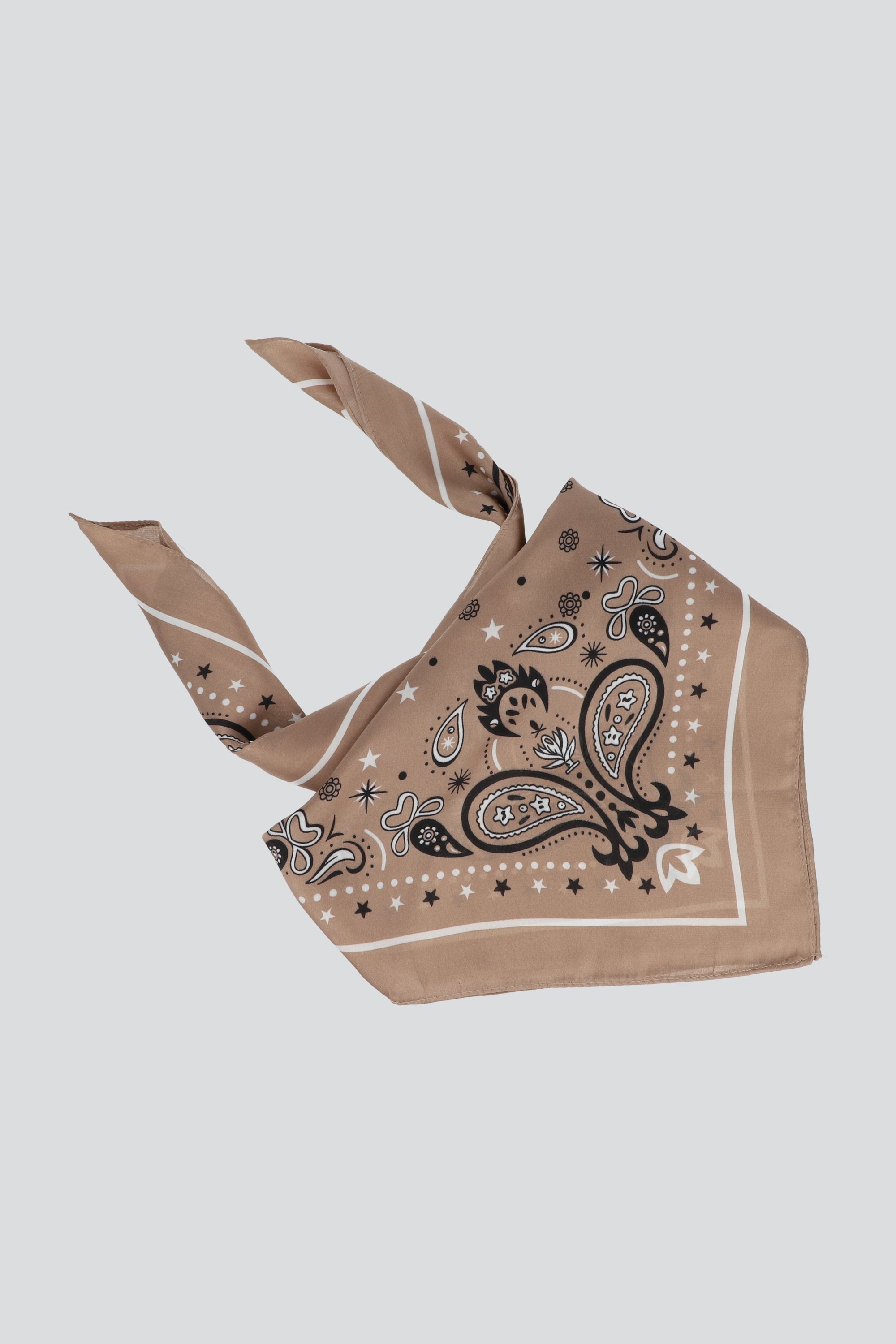 Pañuelo borde paisleys TAUPE