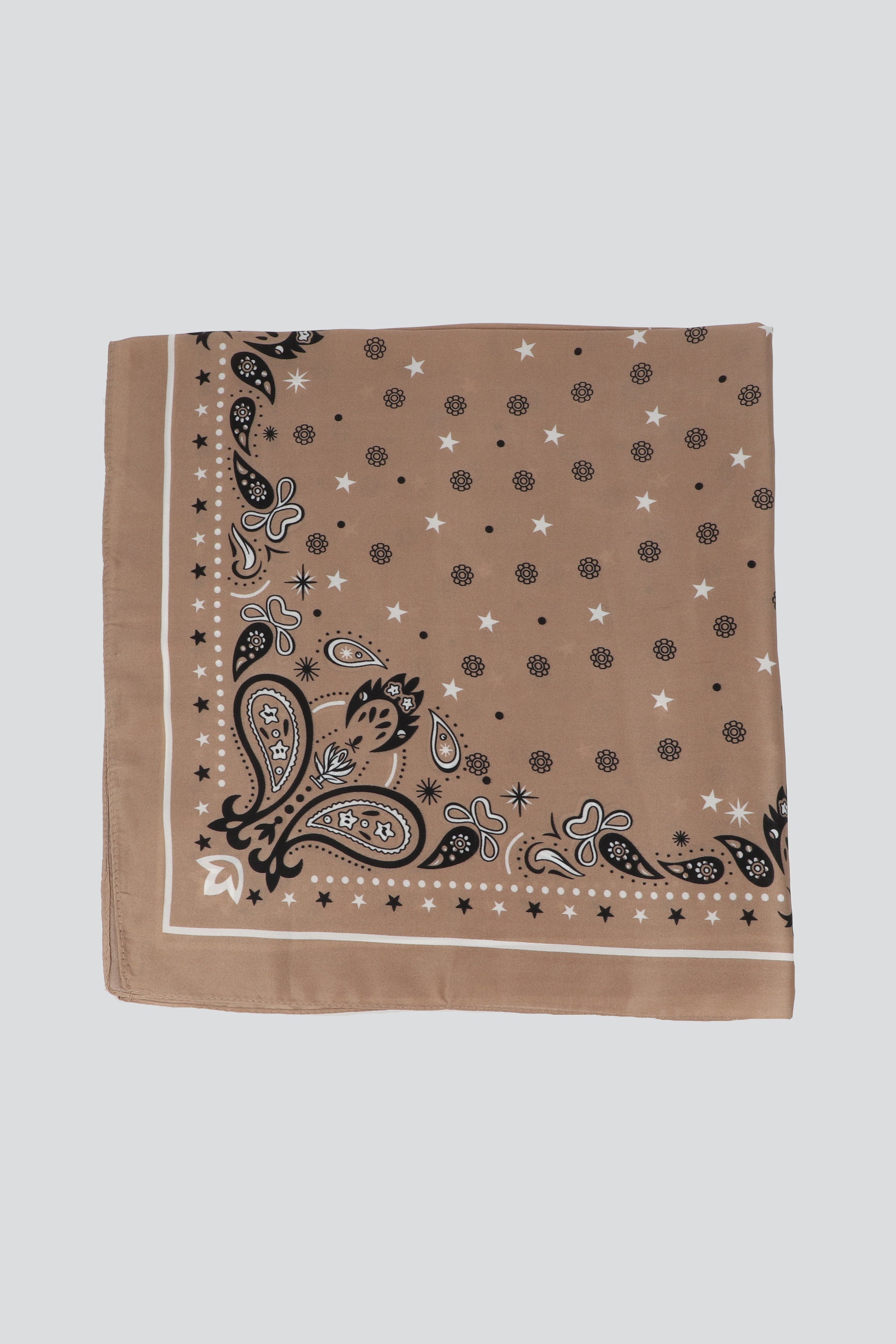 Pañuelo borde paisleys TAUPE