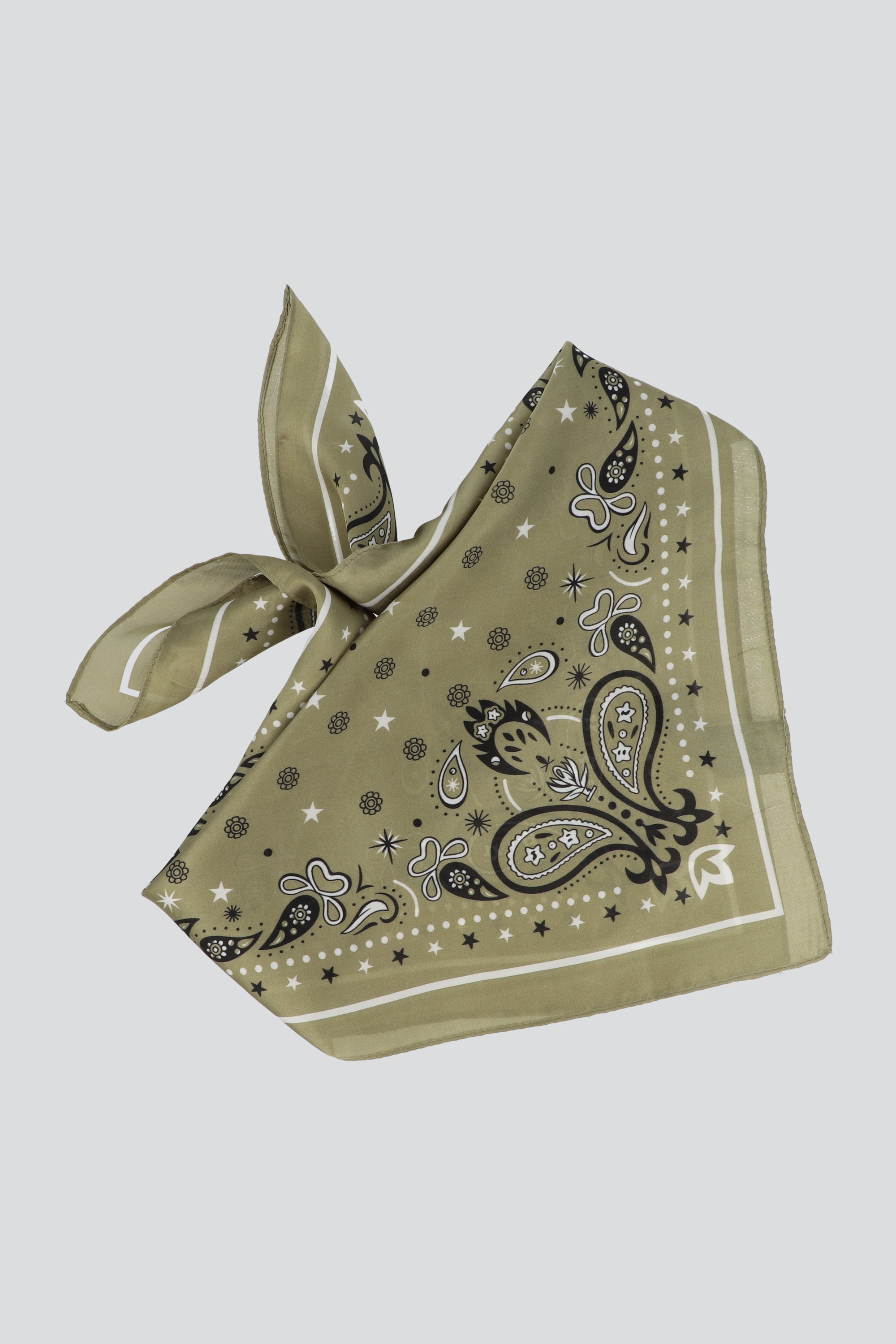 Pañuelo borde paisleys OLIVO