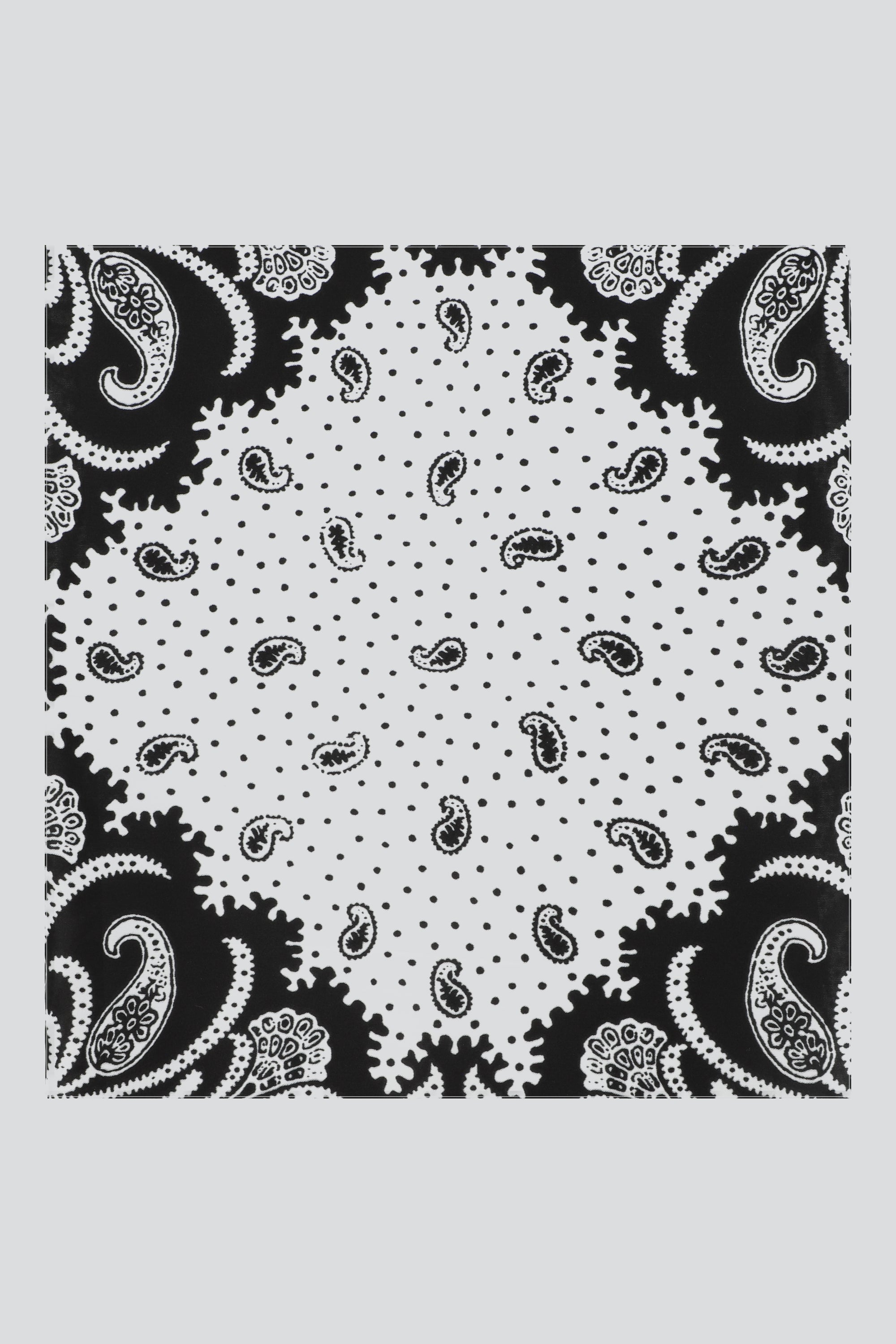 Pañuelo paisleys contorno BLANCO