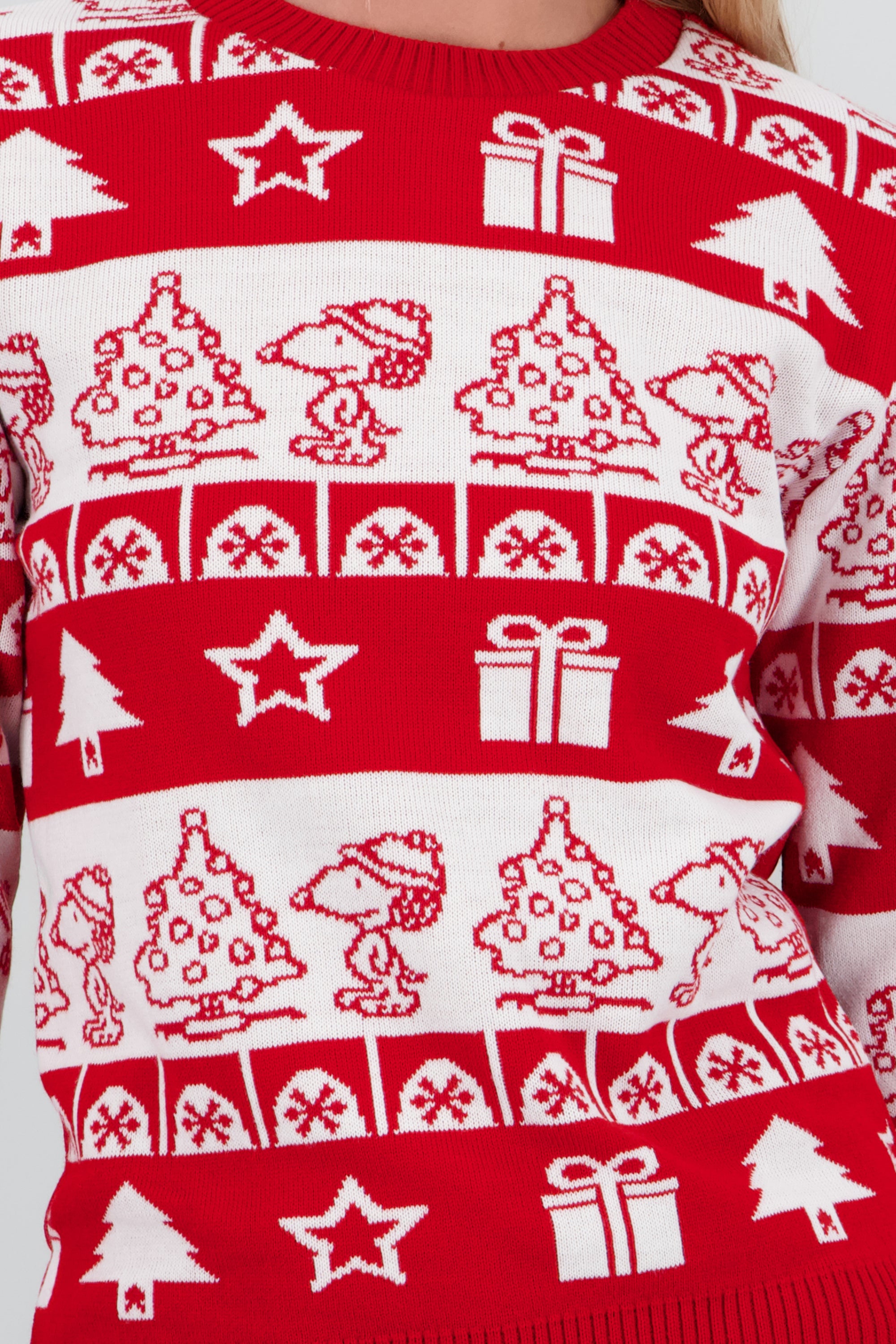 Sueter grecas Snoopy navidad ROJO COMBO