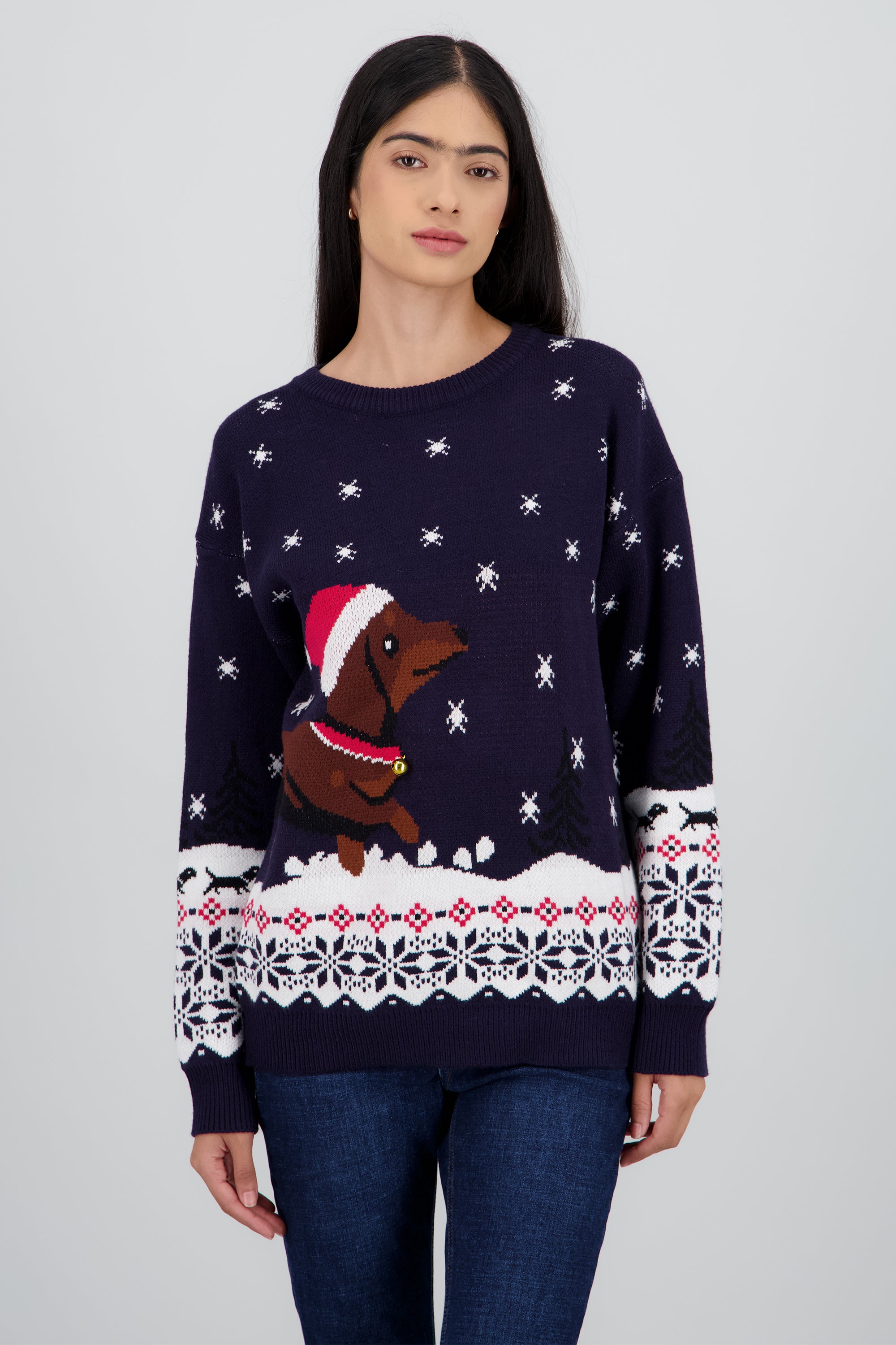 Sueter perrito navidad MARINO COMBO