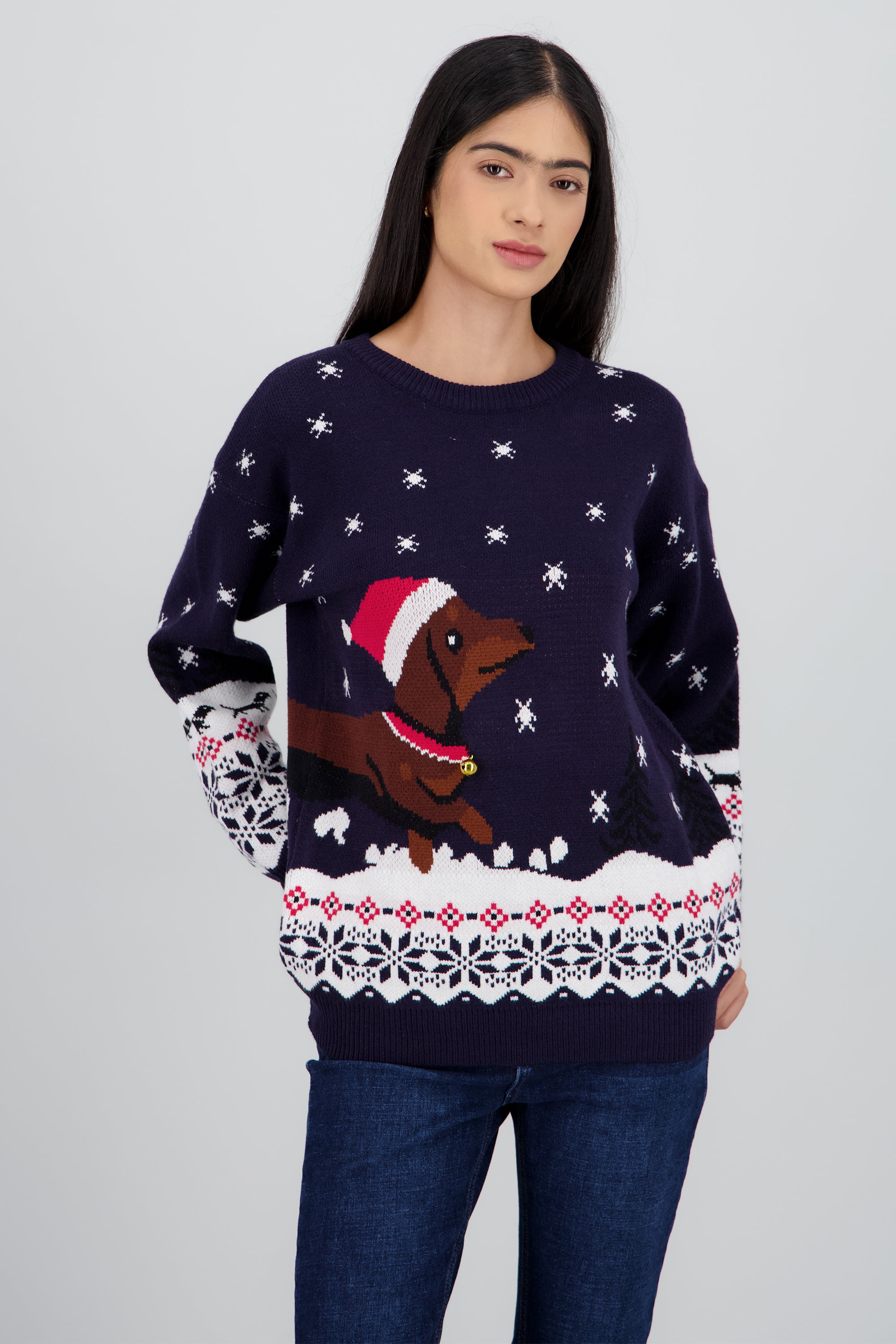 Sueter perrito navidad MARINO COMBO