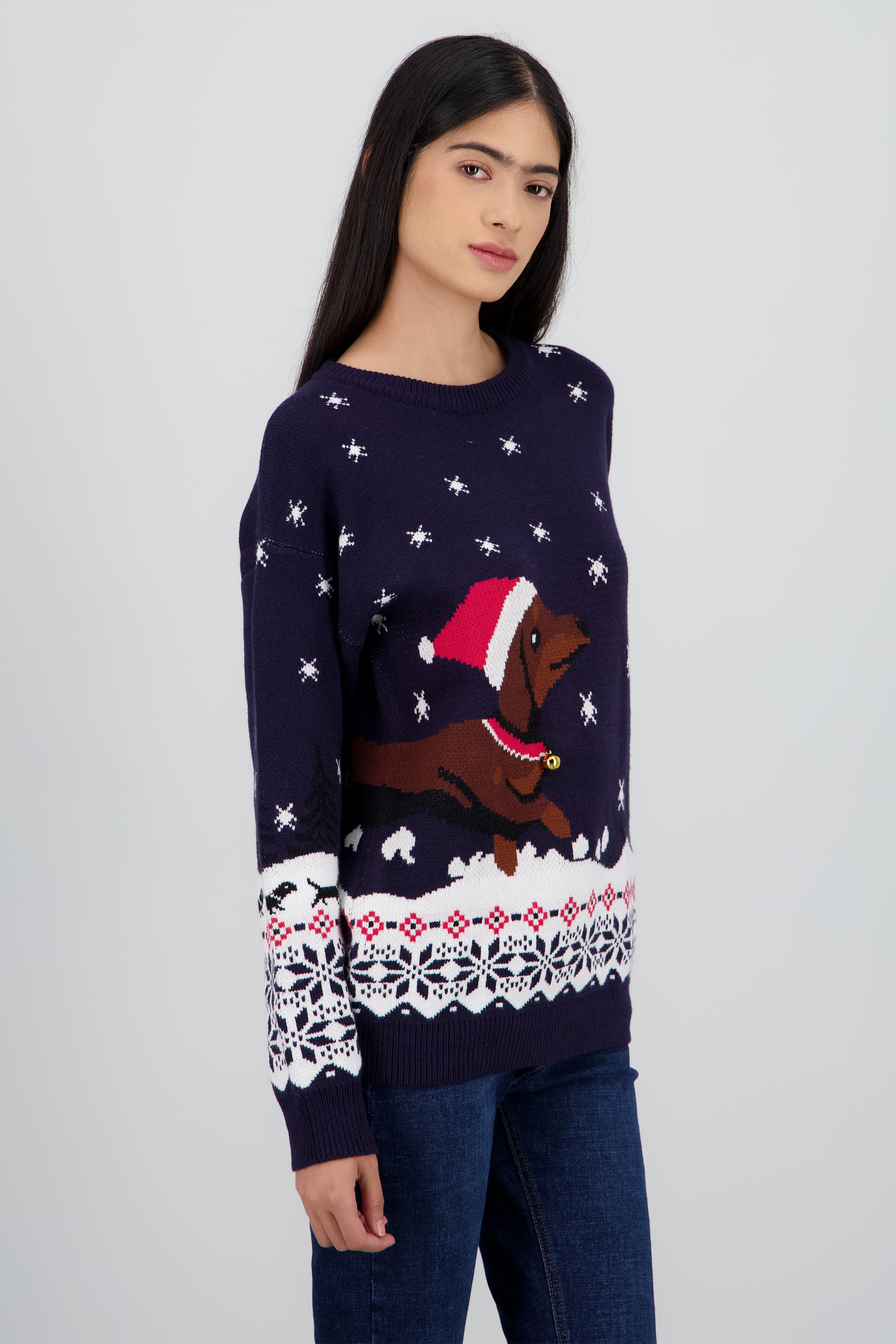 Sueter perrito navidad MARINO COMBO