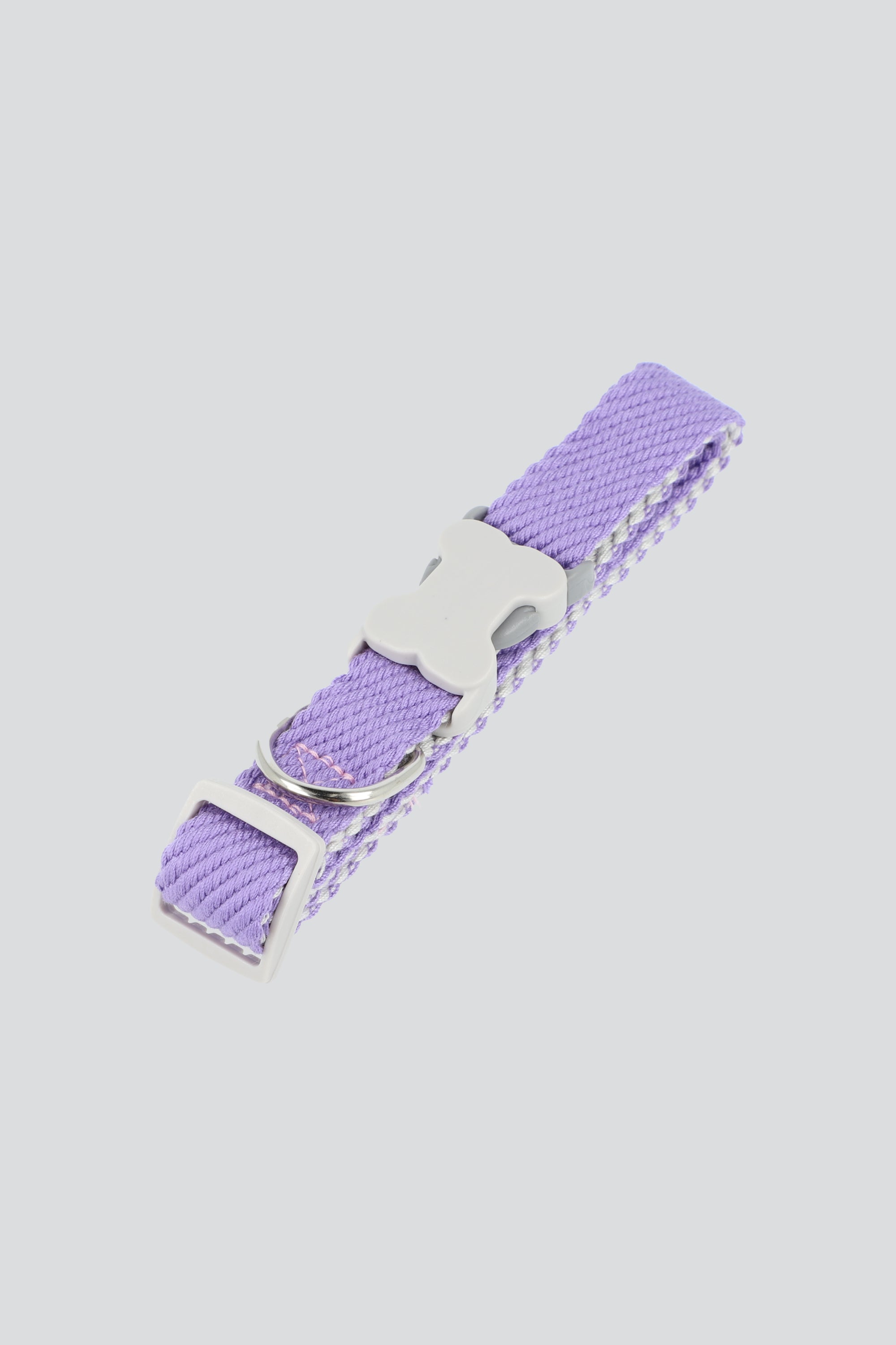 Collar mascota hebilla hueso MORADO