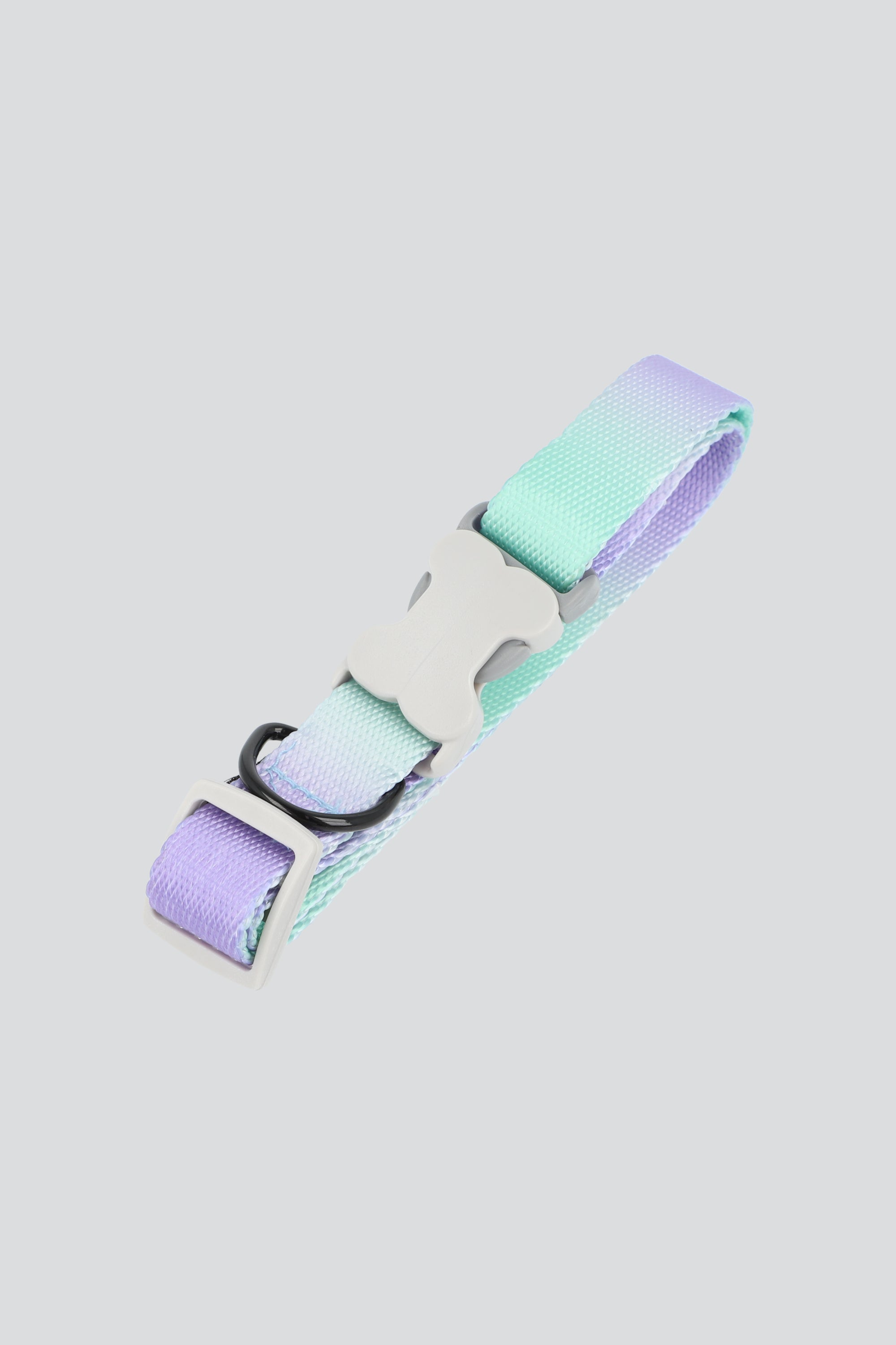 Collar mascota bicolor hueso MORADO