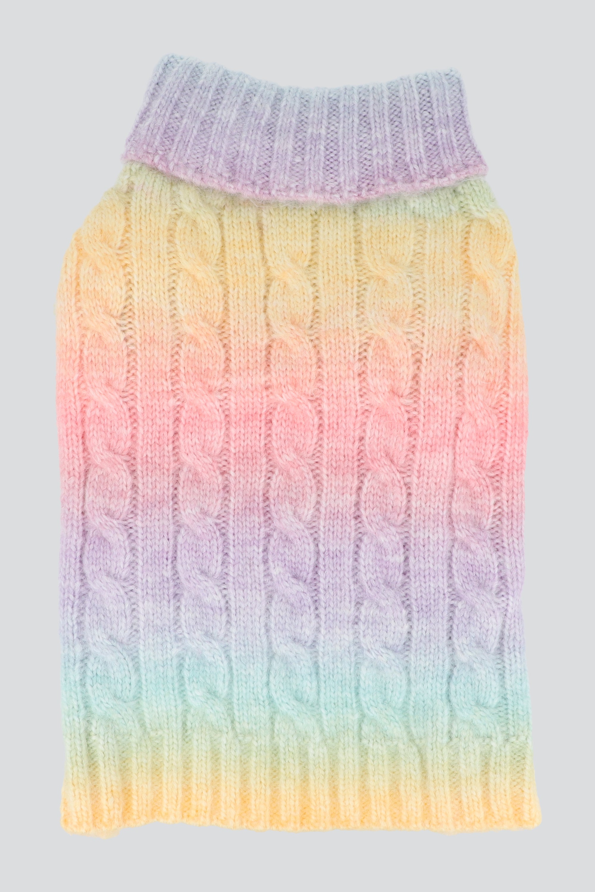 Sueter mascota pastel MULTICOLOR