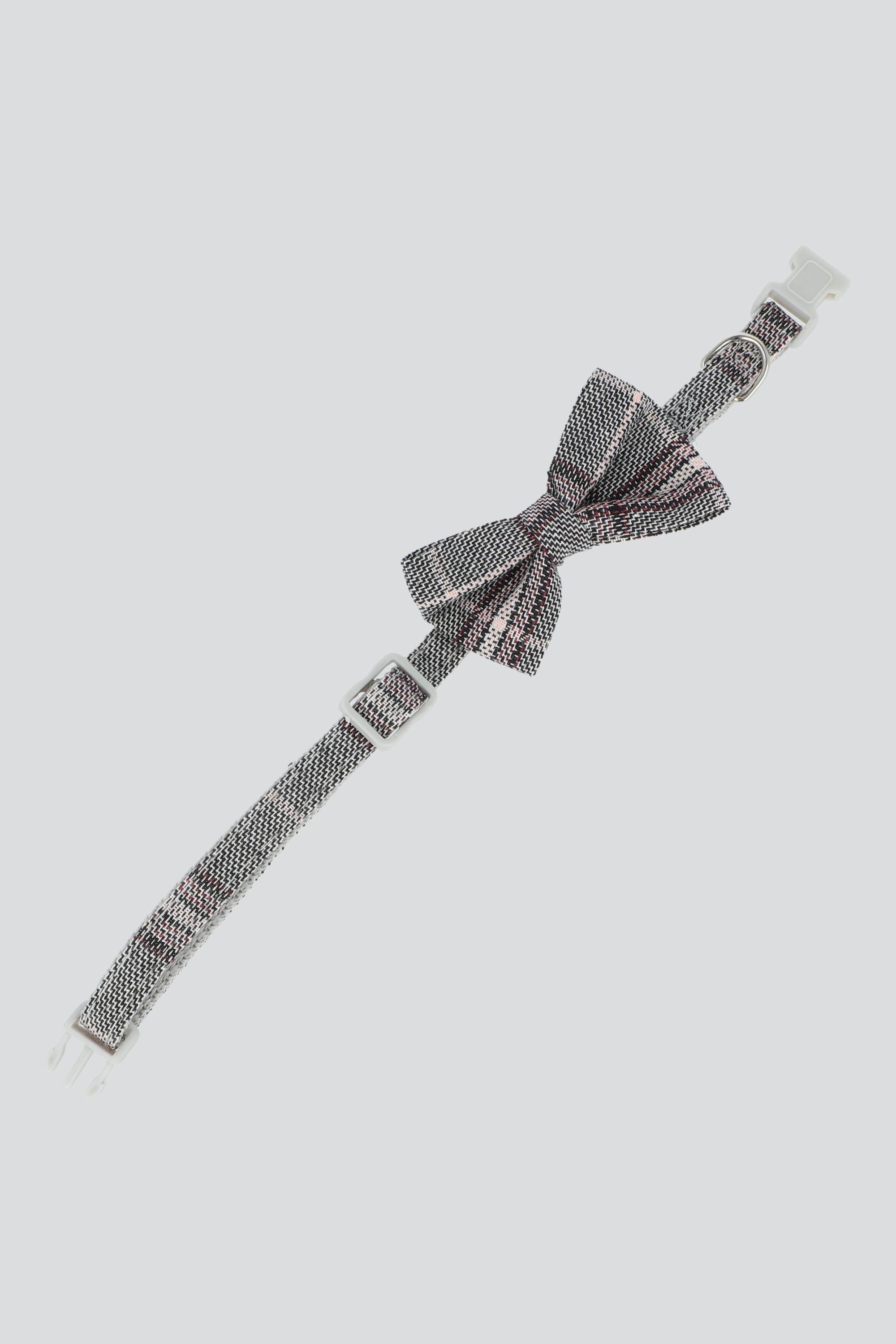 Collar mascota cuadros GRIS