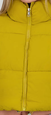 MUSTARD