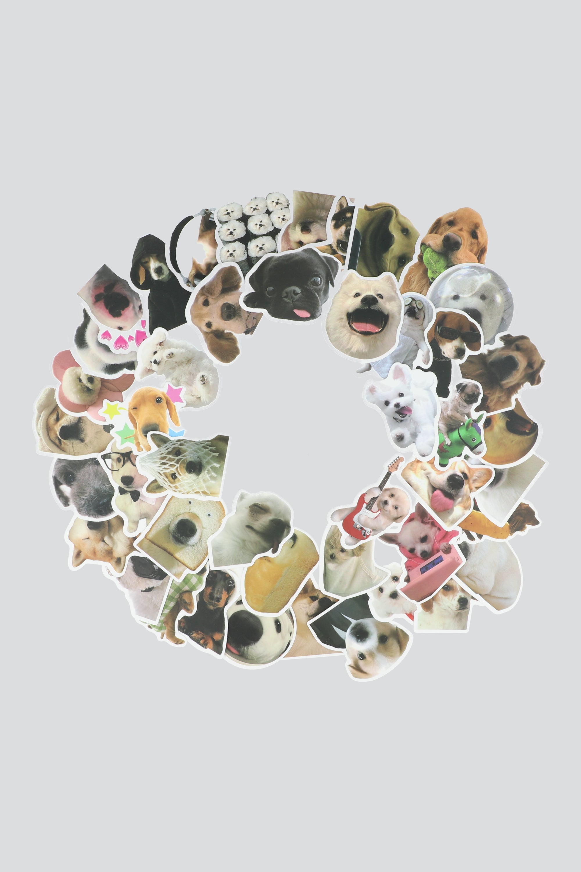 Set 50 stickers perritos MULTICOLOR