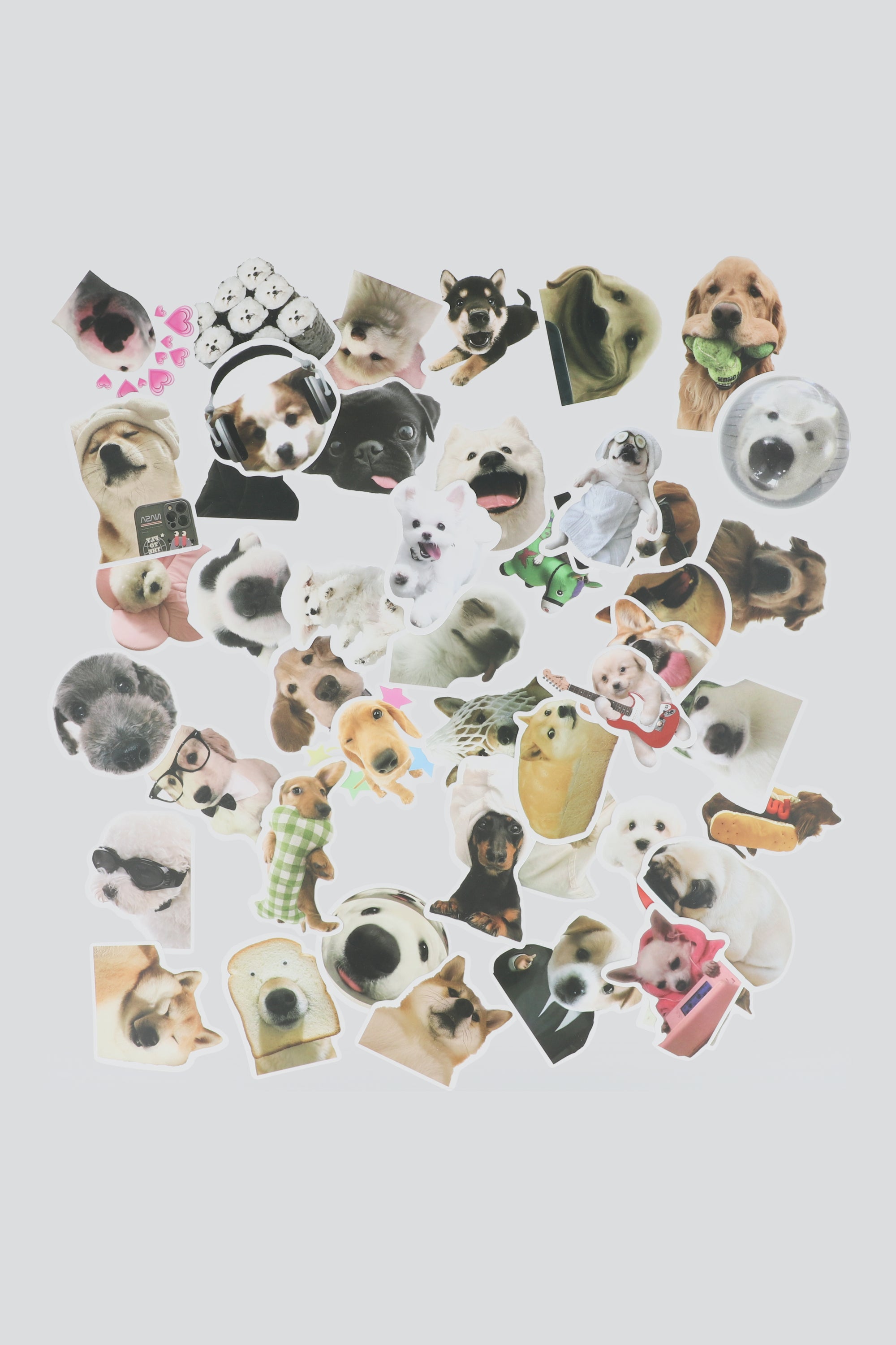 Set 50 stickers perritos MULTICOLOR
