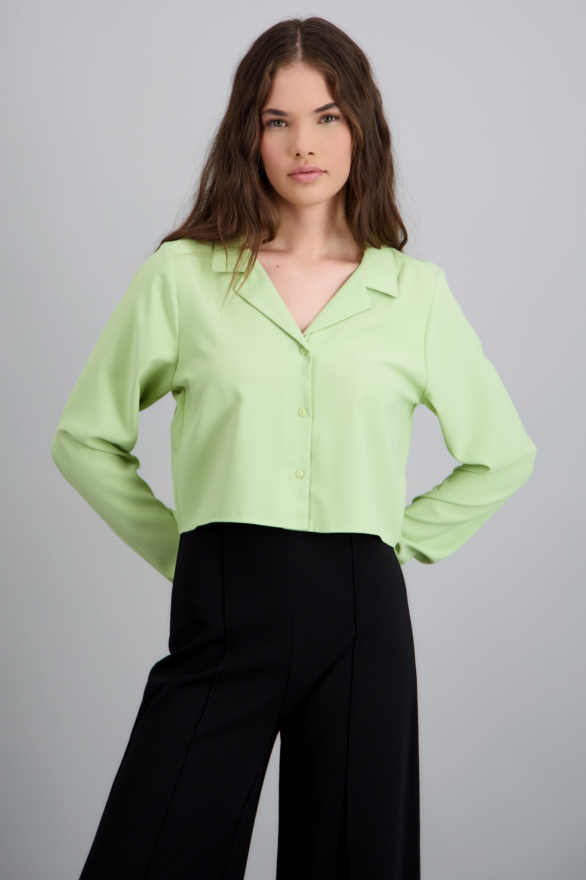 Camisa lisa manga larga VERDE CLARO