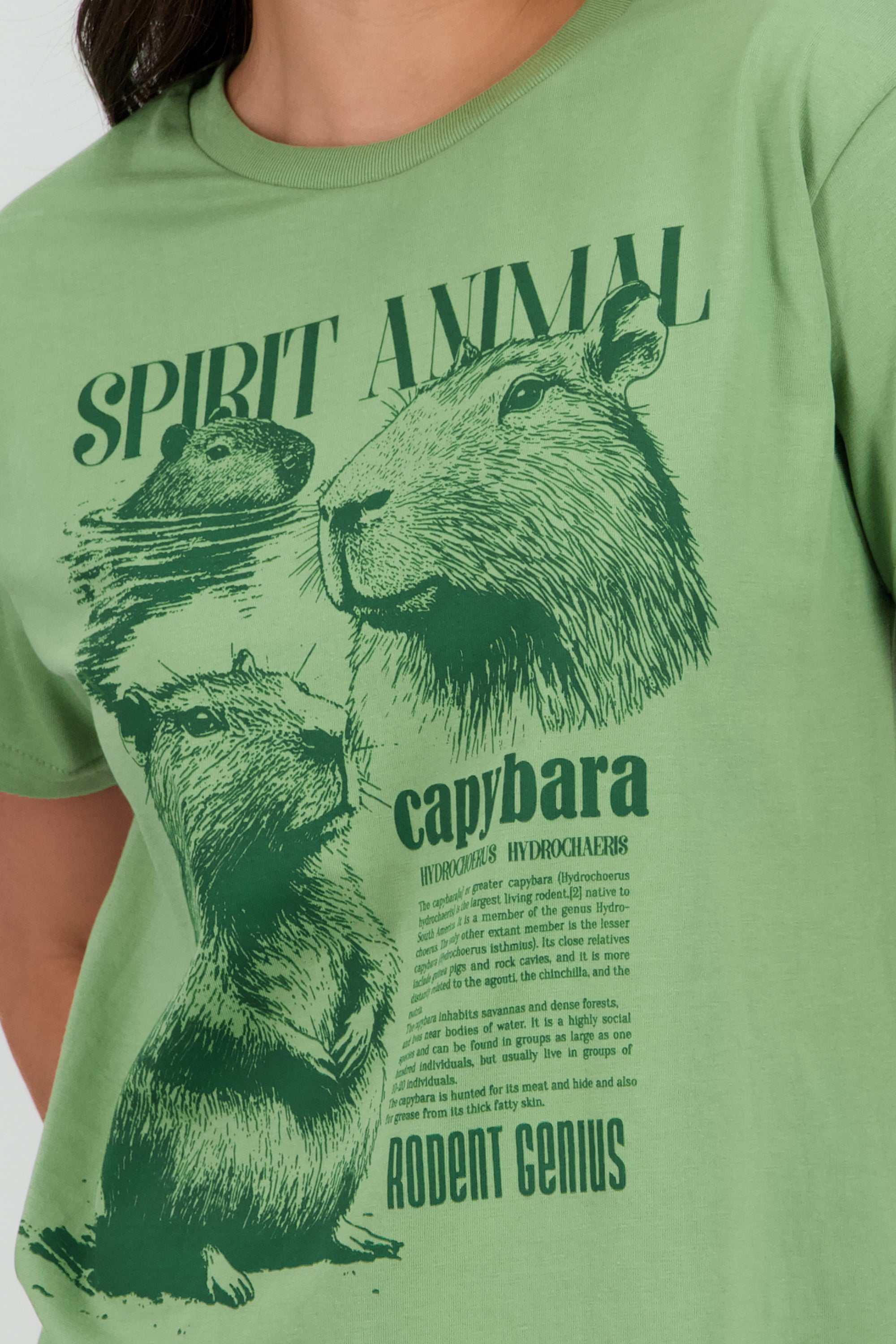 Playera manga corta estampado capibara VERDE