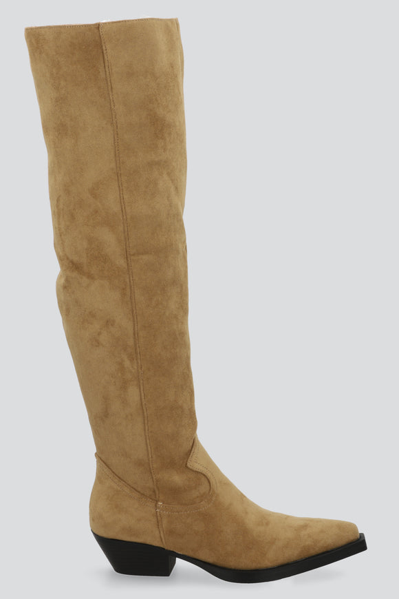 TAUPE