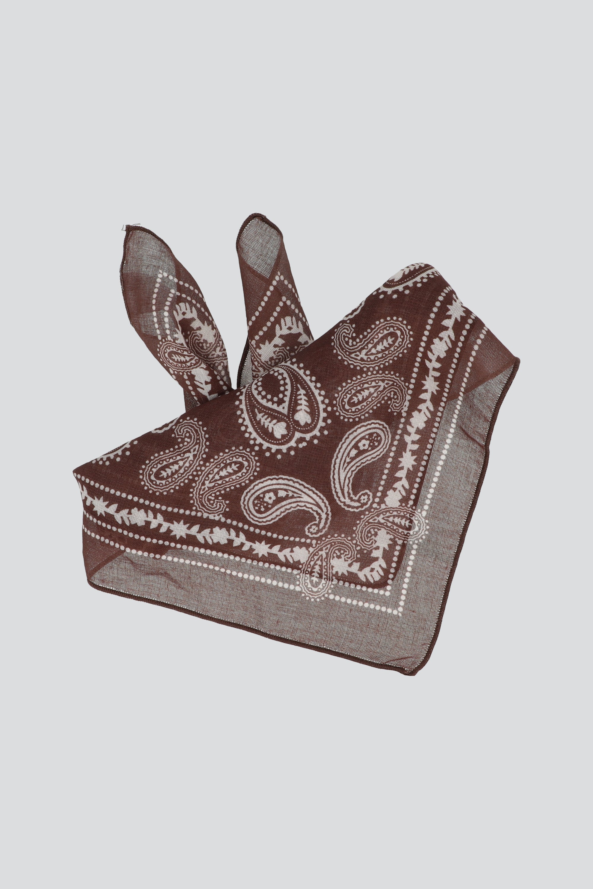 Pañuelo Paisleys CAFE