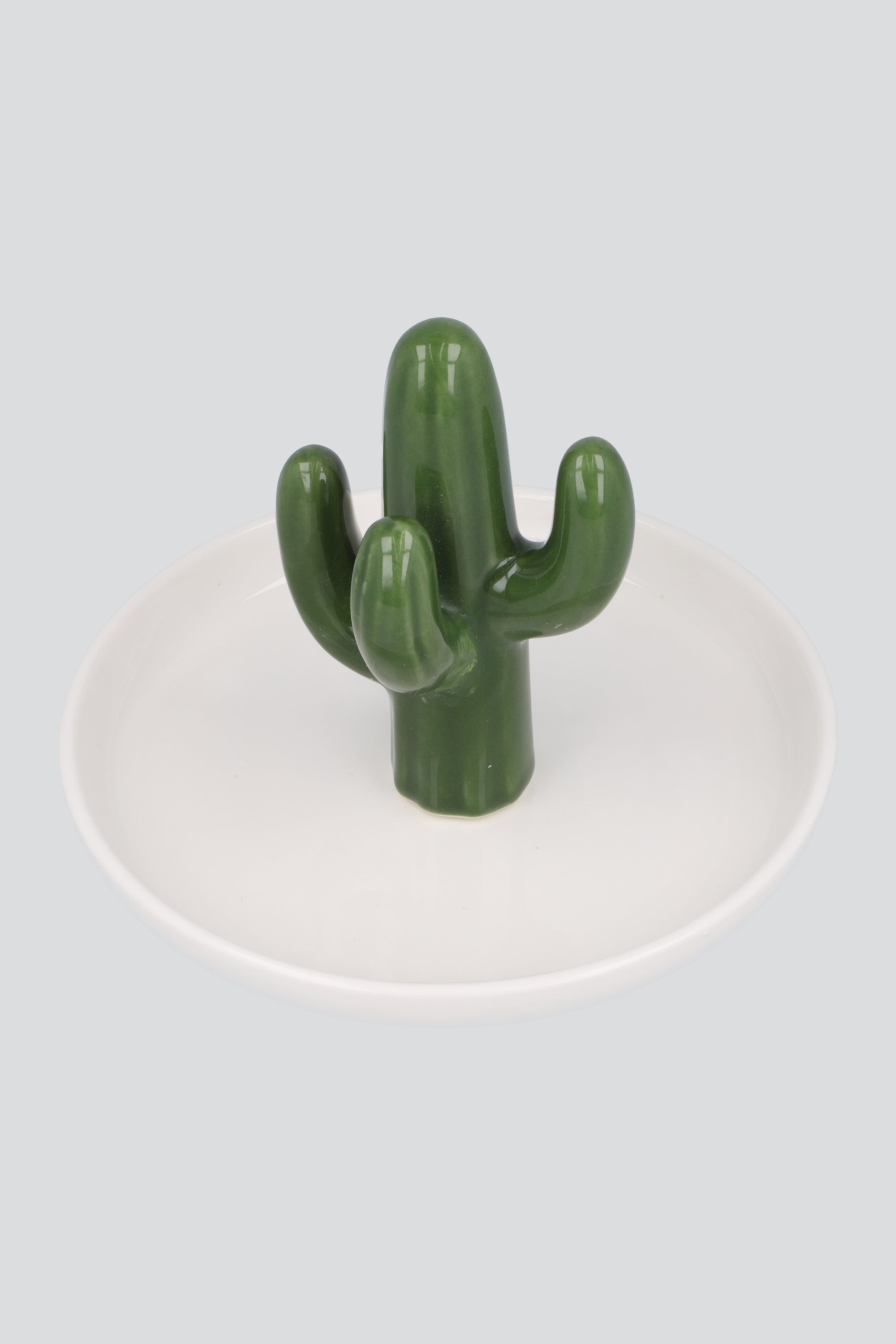 Alhajero Cactus VERDE