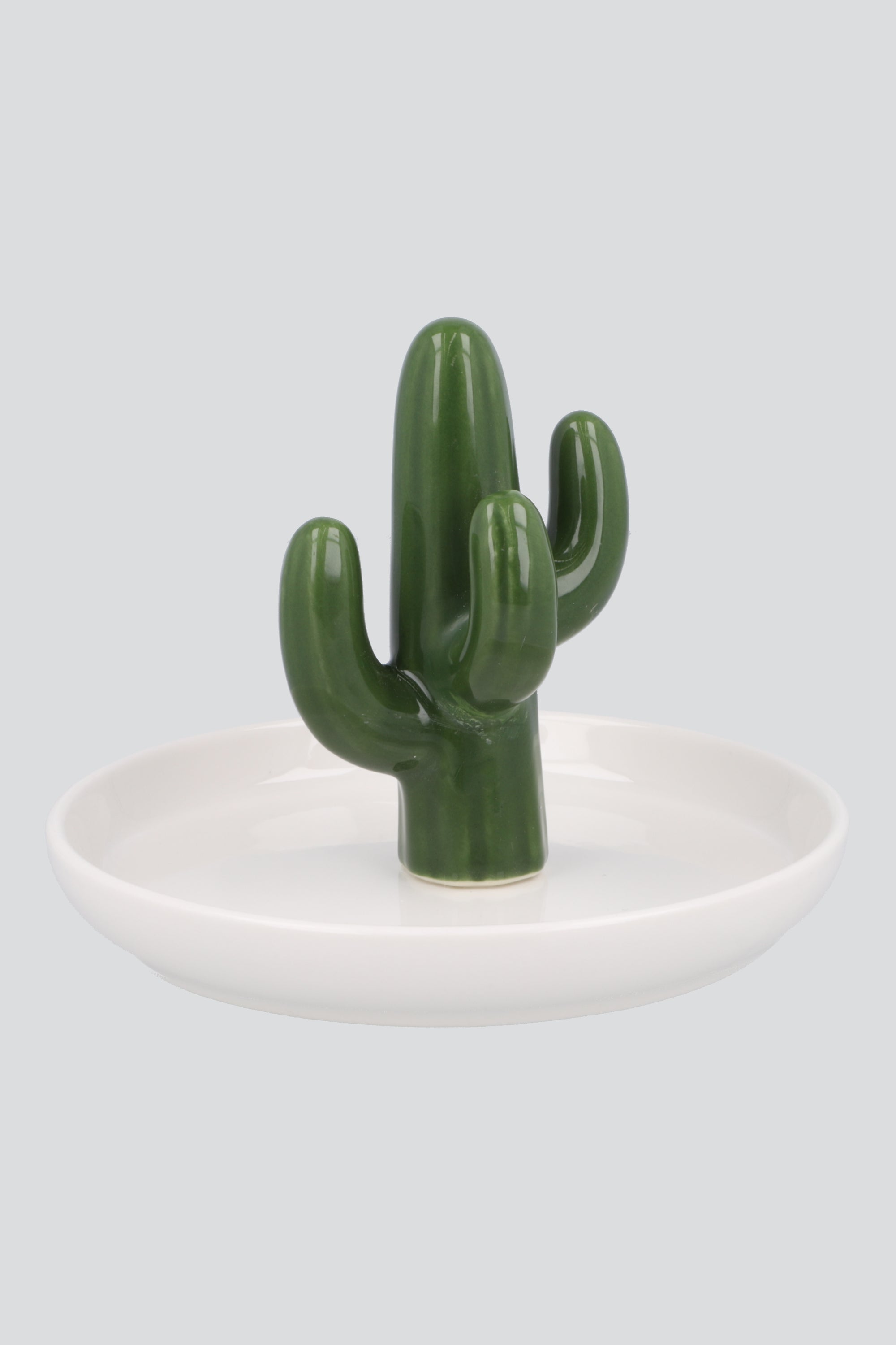 Alhajero Cactus VERDE