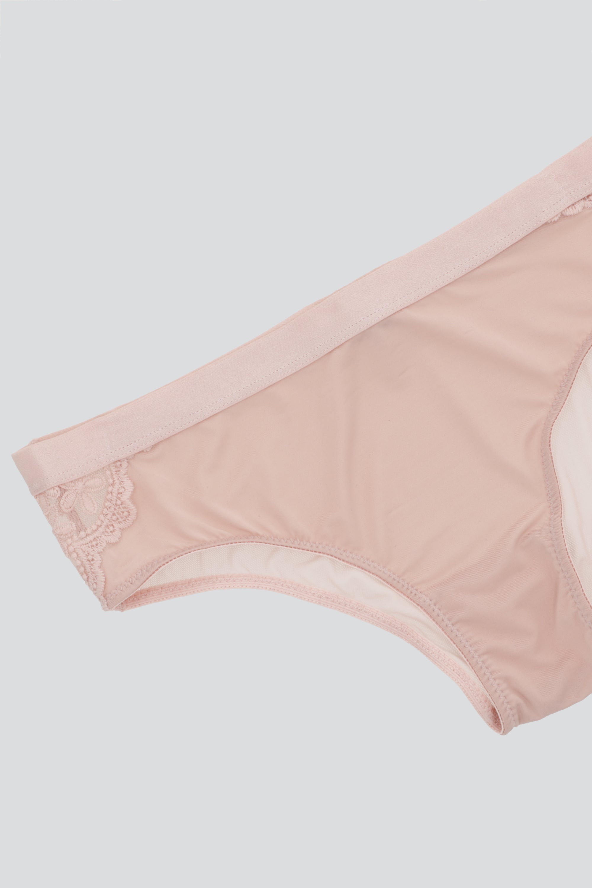 Bikini mesh bordado PALO DE ROSA