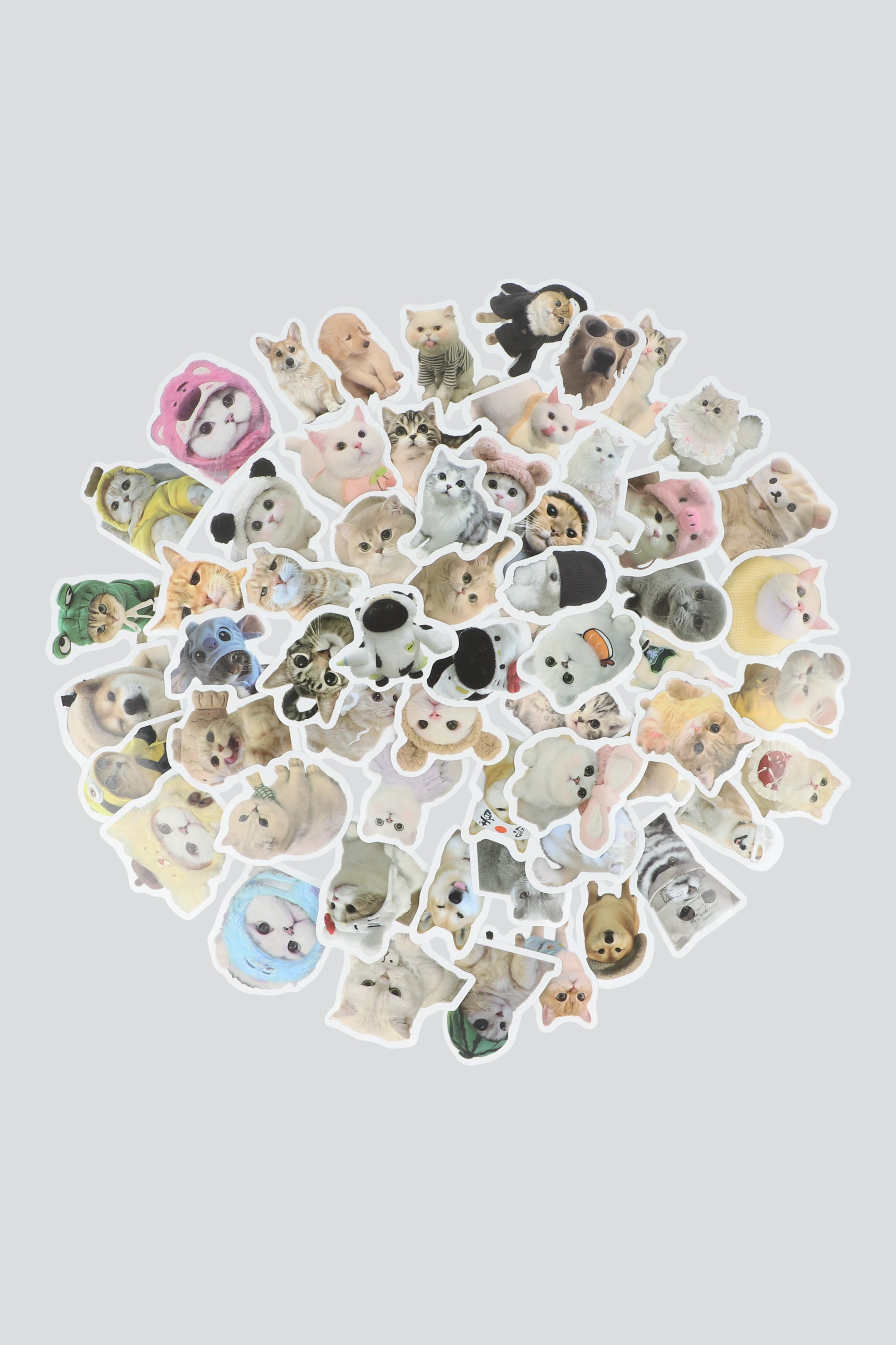 Set 60 stickers gatitos MULTICOLOR