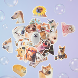 Set 50 stickers perrito