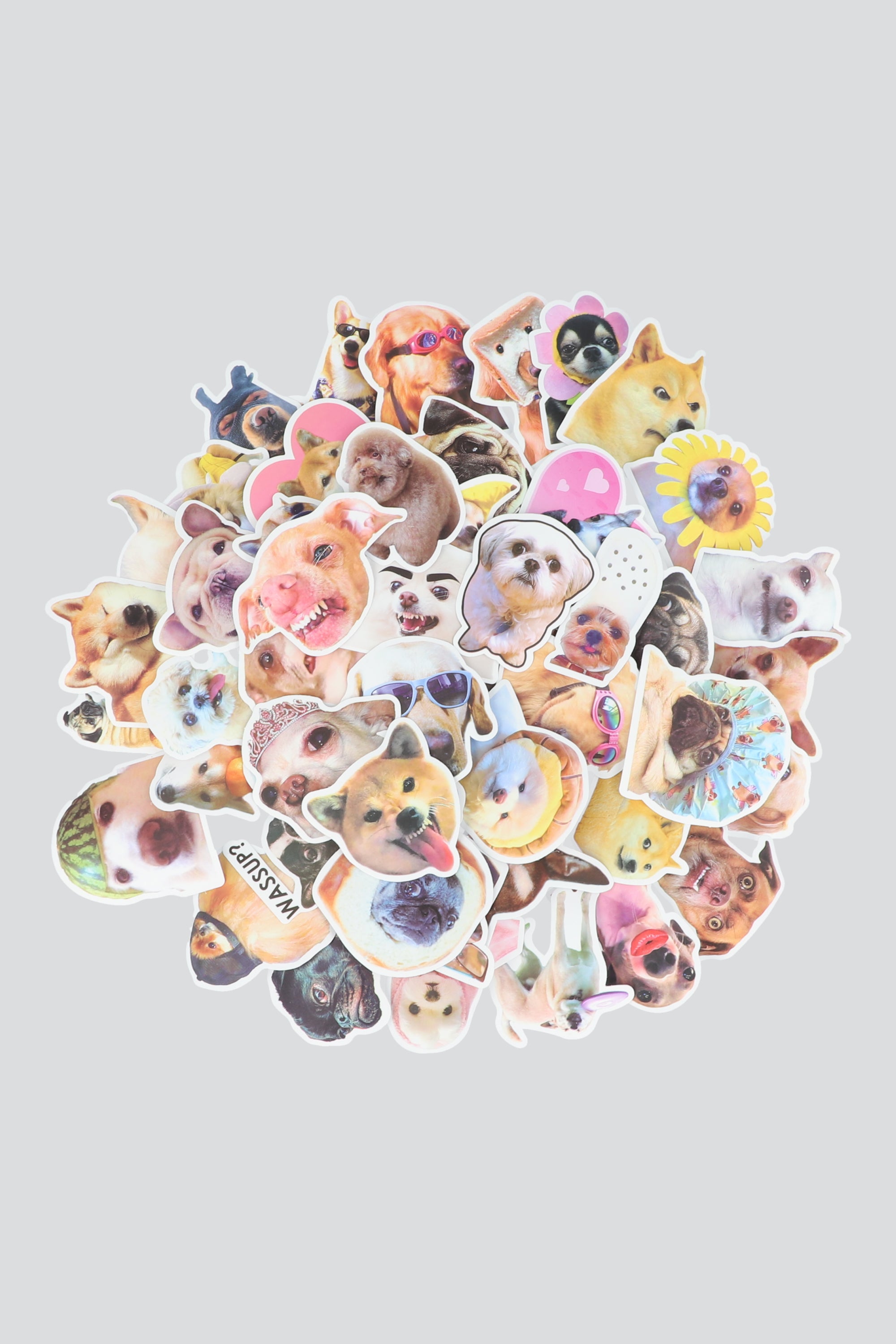 Set 50 stickers perrito MULTICOLOR