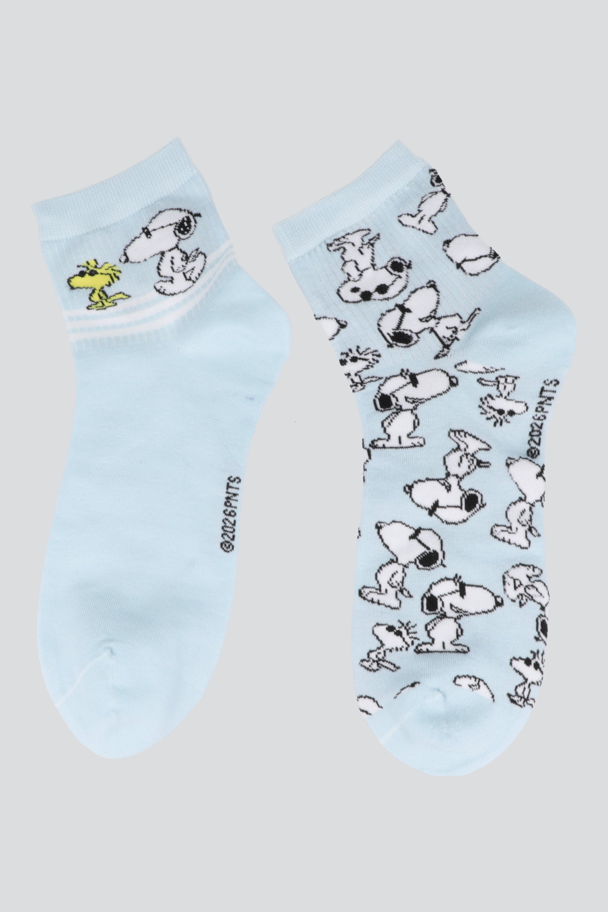 2 pack full snoopy AZUL PASTEL