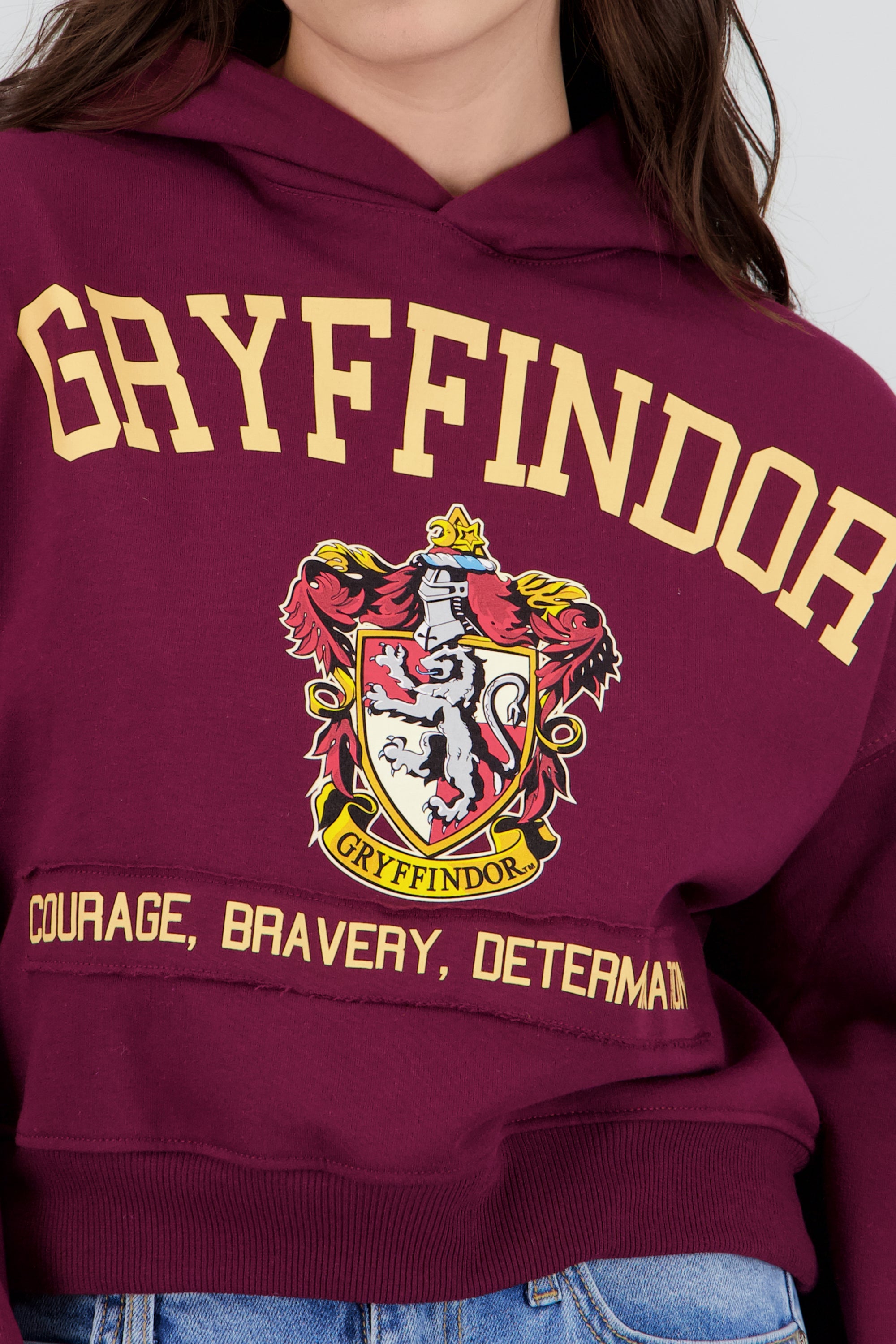 Sudadera griffindor gorro VINO