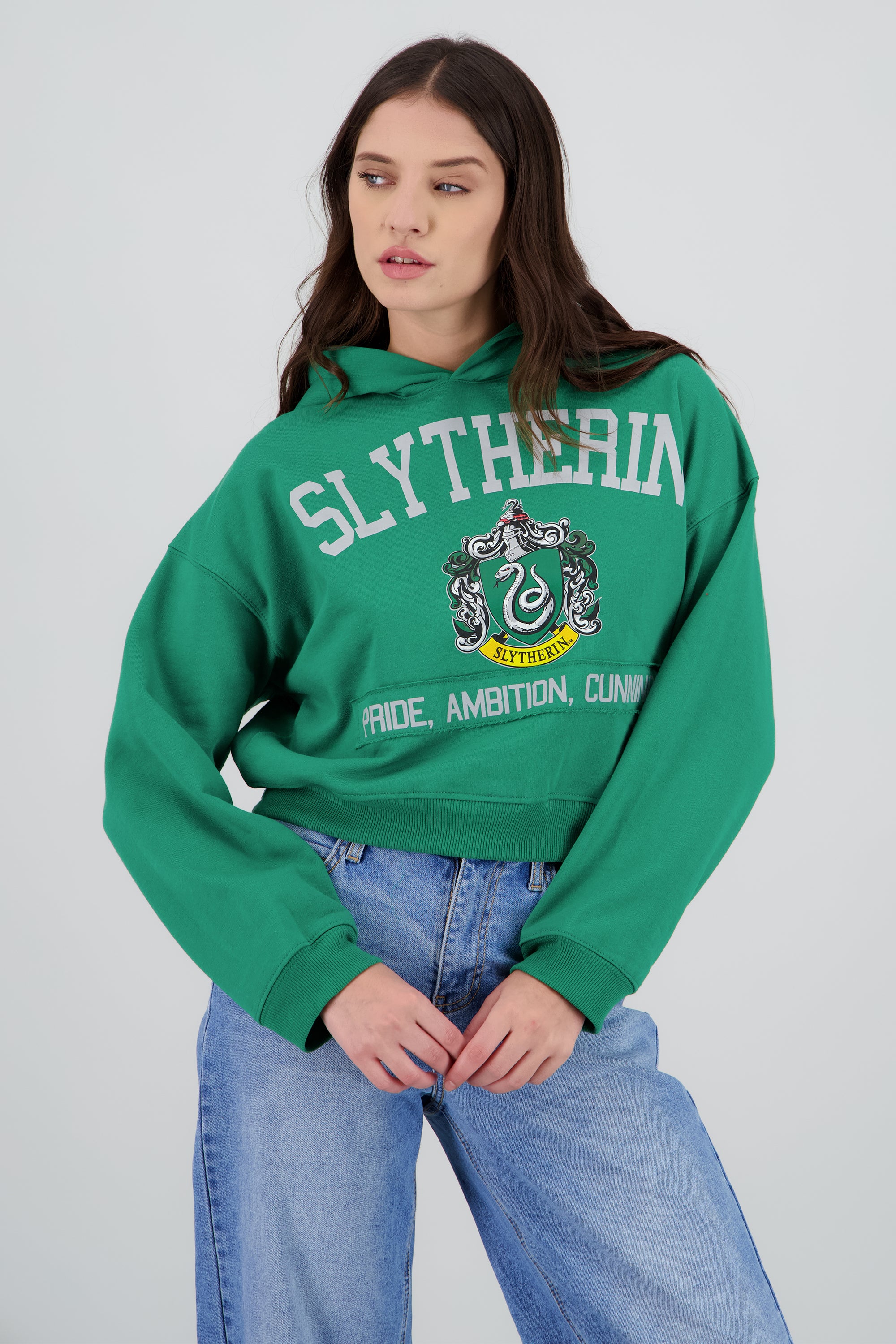 Sudadera Slytherin gorro VERDE BOTELLA