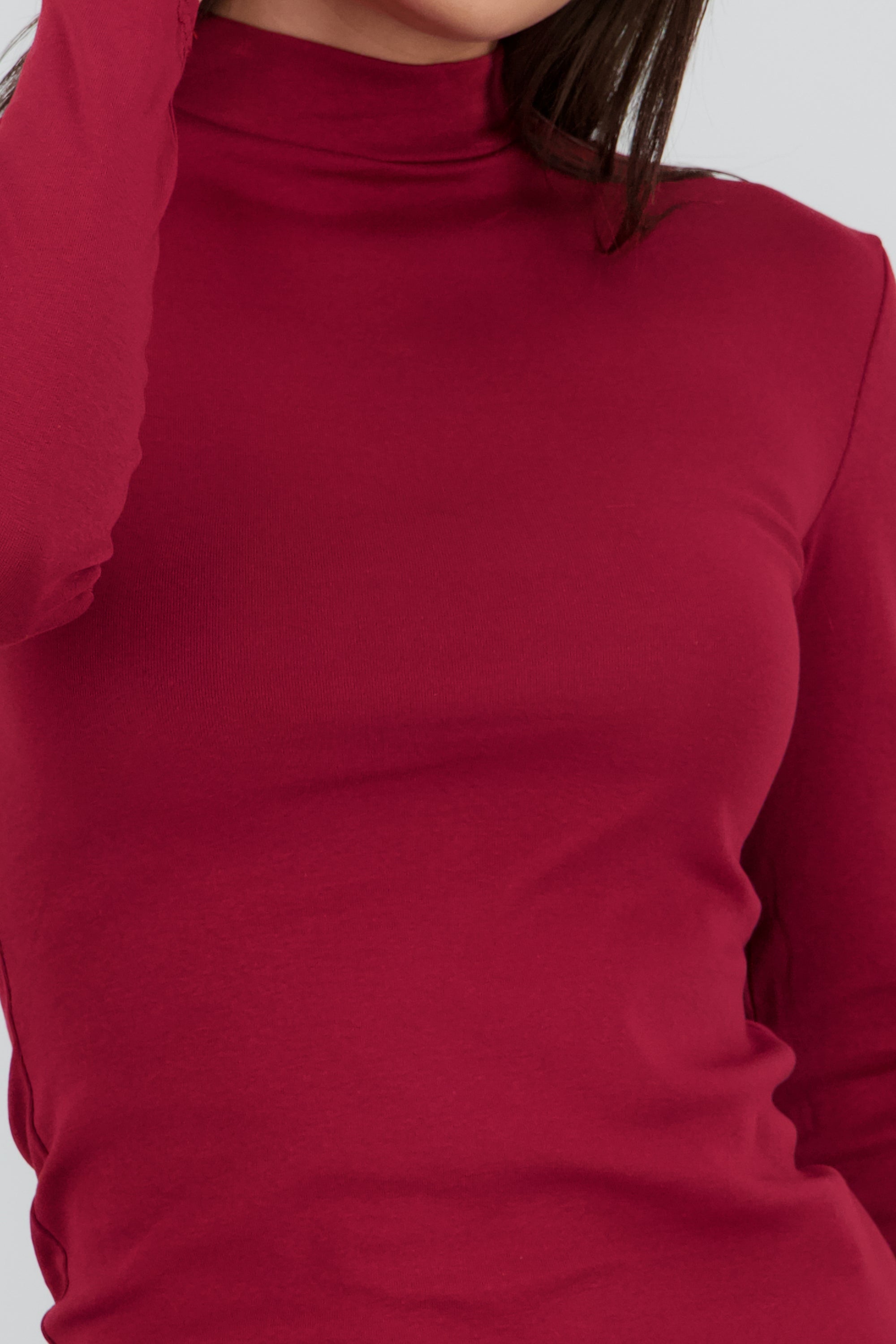 Top liso manga larga cuello alto CIRUELA