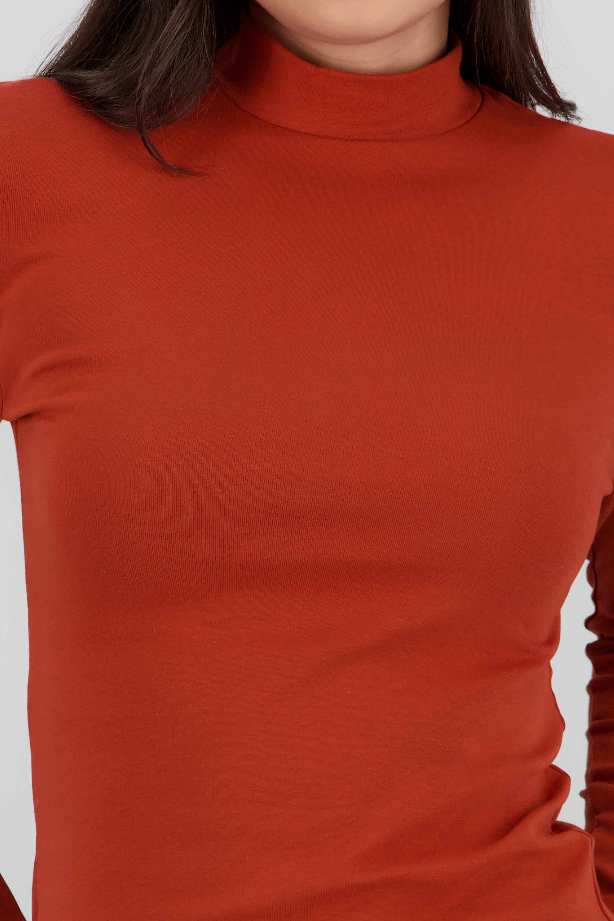 Top liso manga larga cuello alto LADRILLO