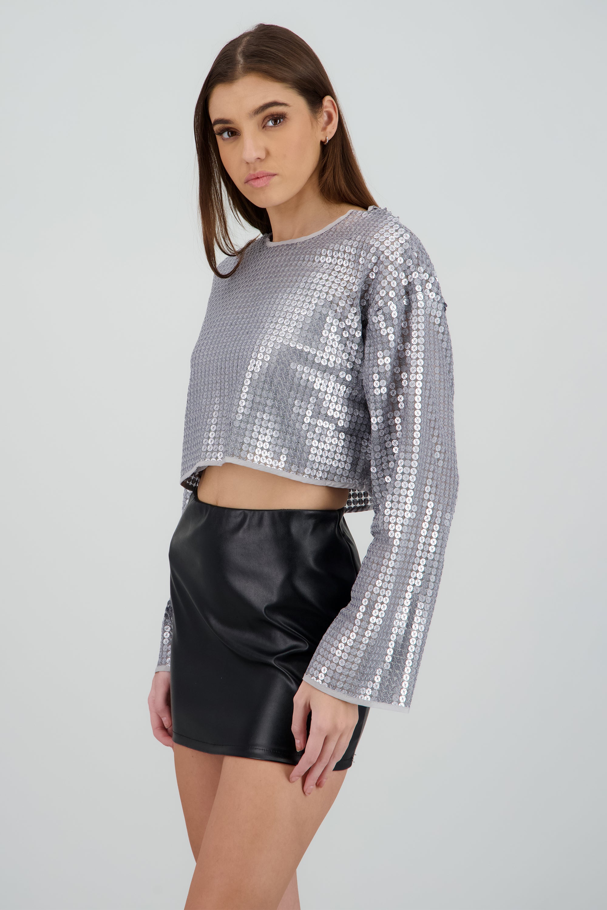 Blusa manga larga brillos PLATA