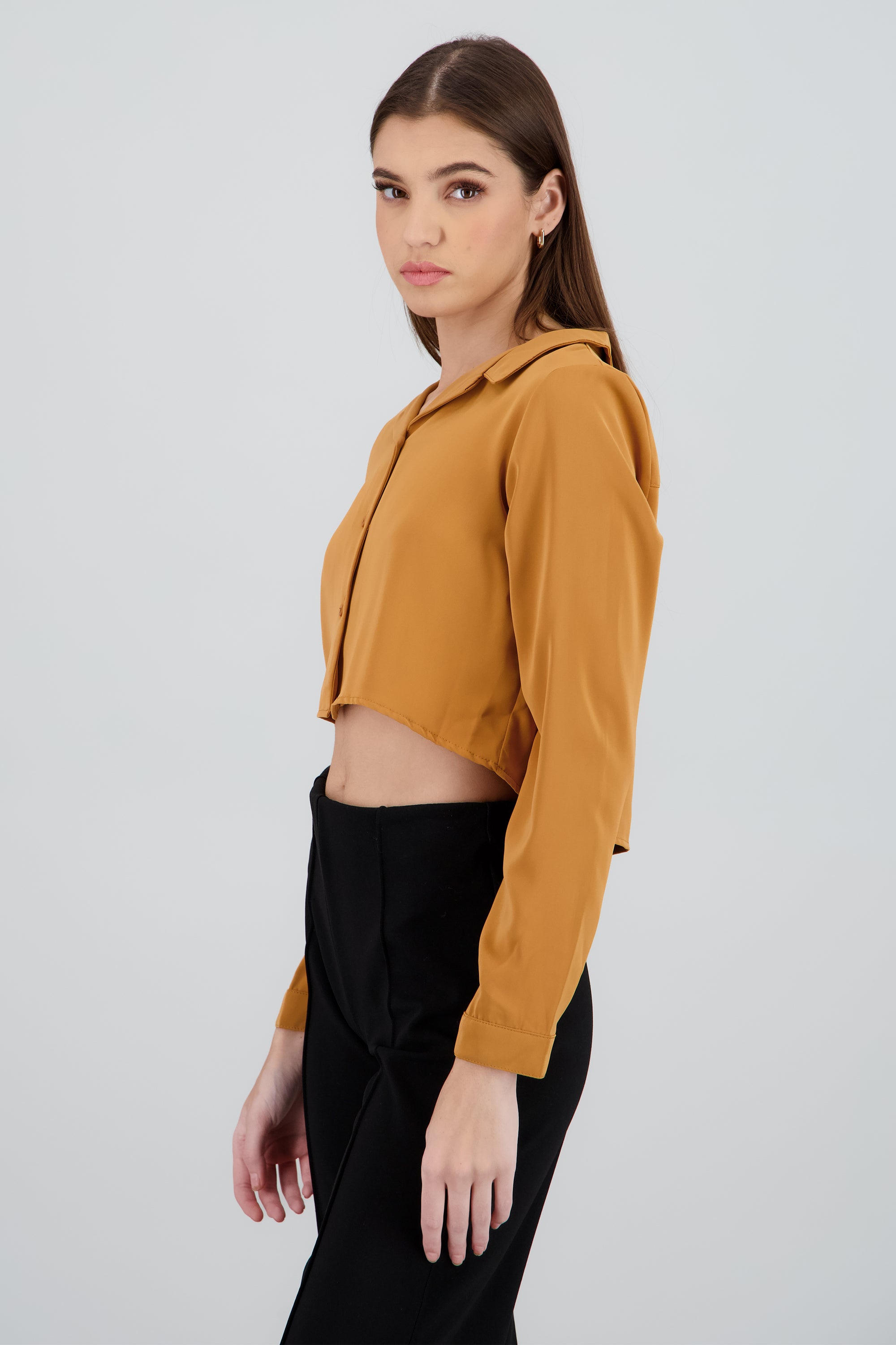 Camisa lisa manga larga CAMELLO