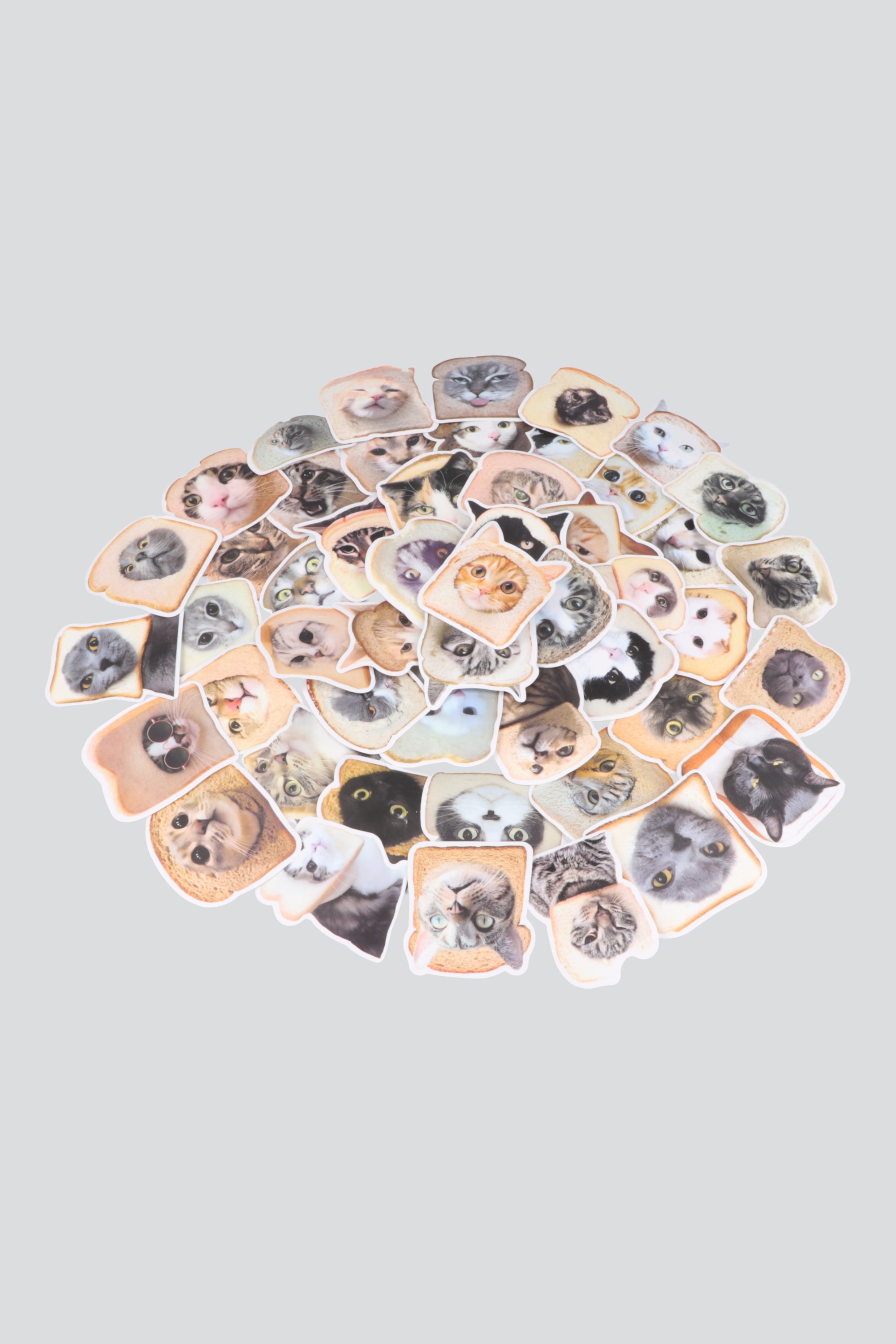Set 50 stickers gato pan MULTICOLOR
