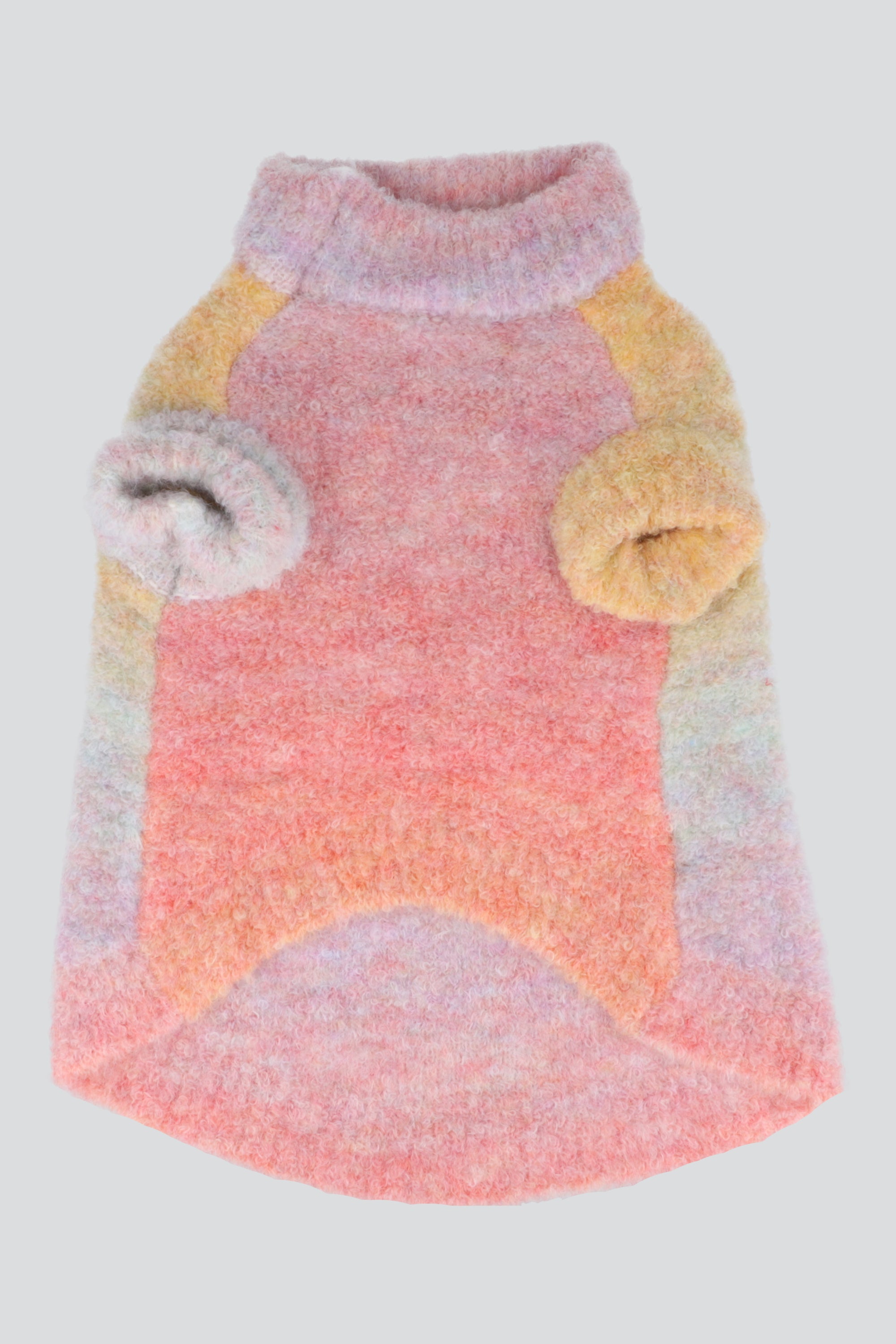 Sueter mascota degradado MULTICOLOR
