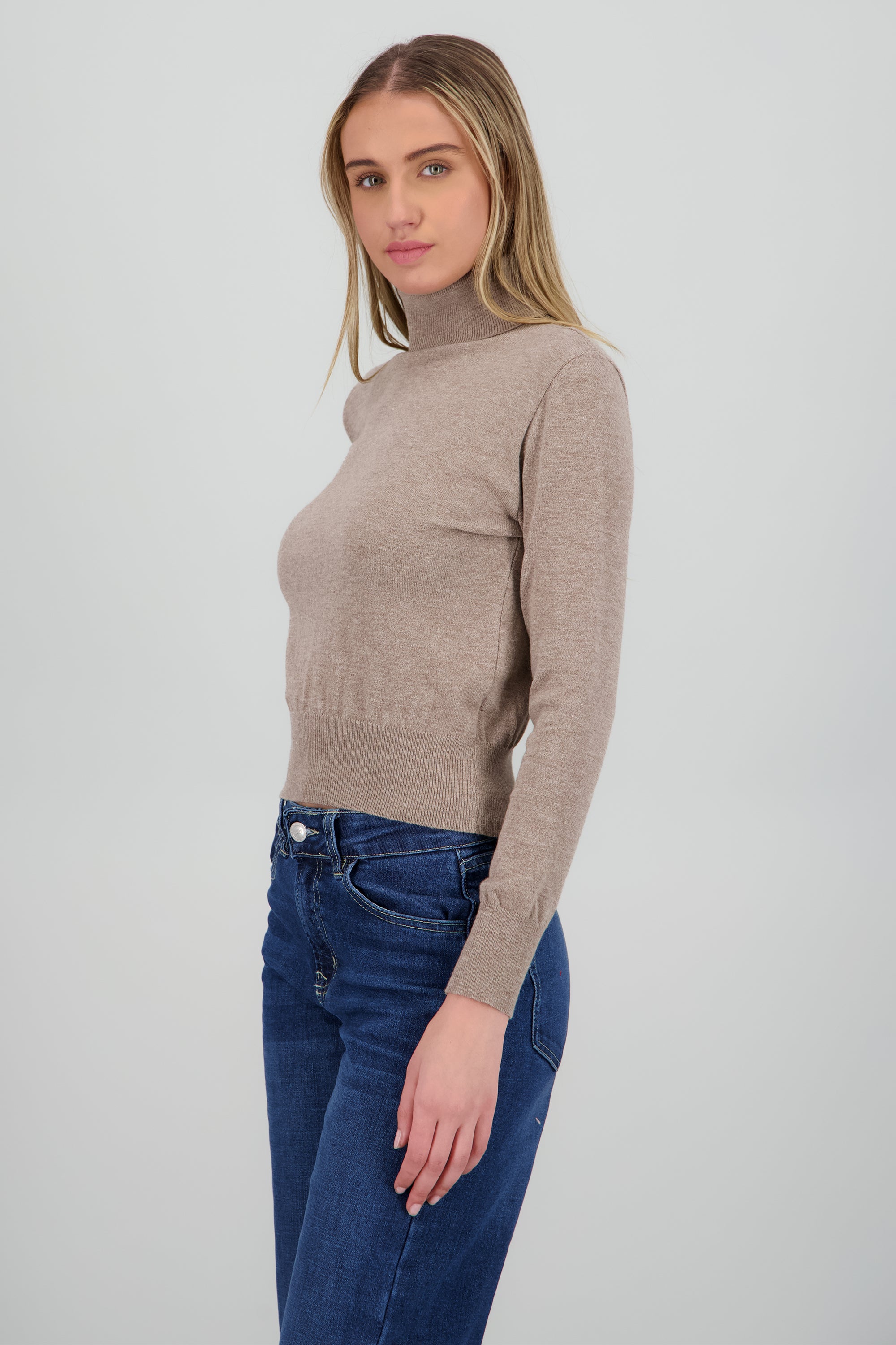 Sueter cuello de tortuga liso TAUPE