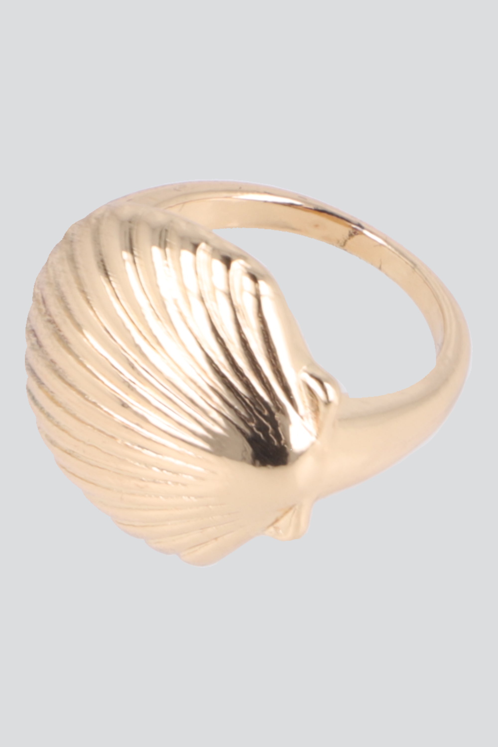 Anillo concha metal ORO