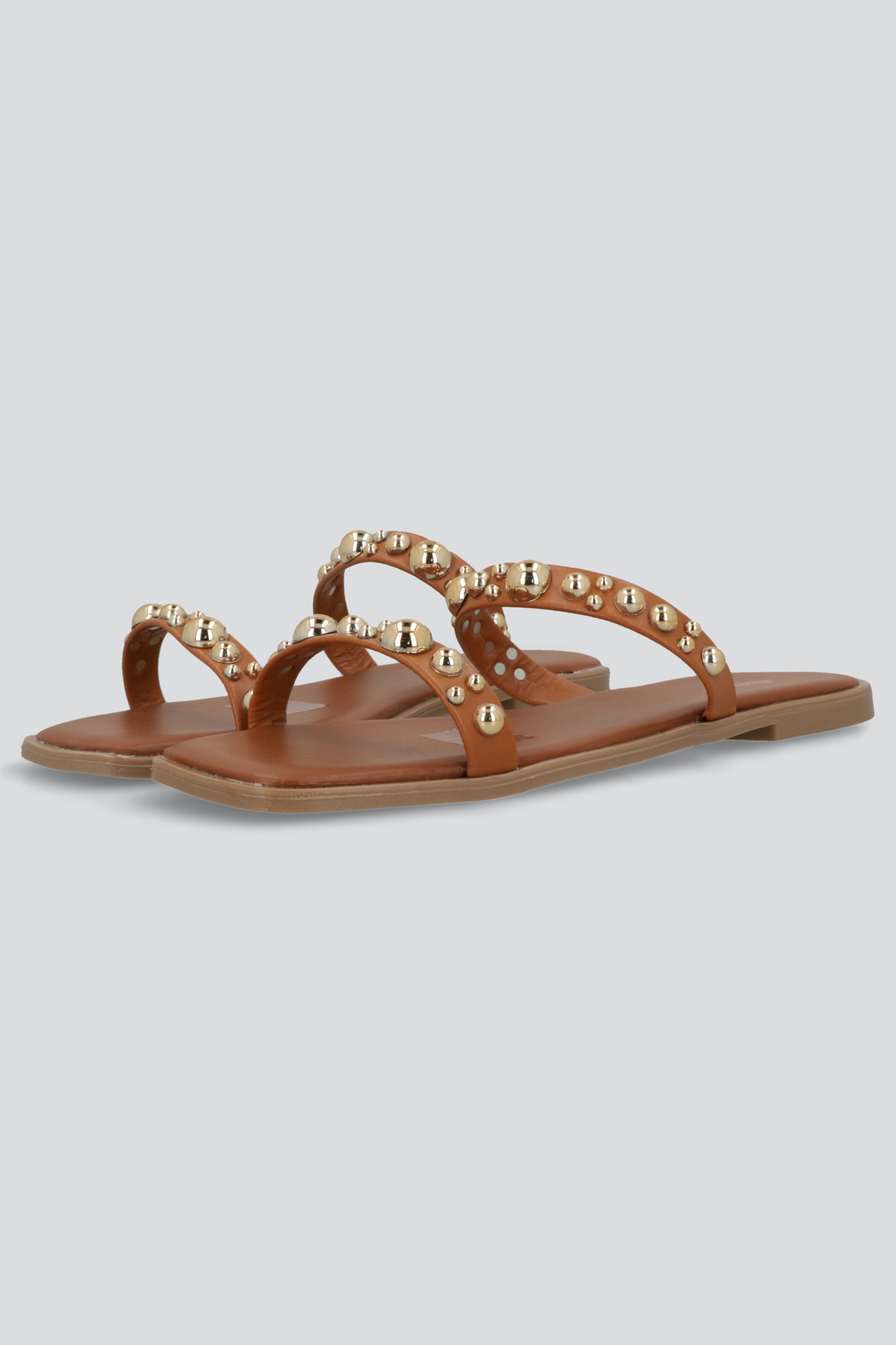 TAN