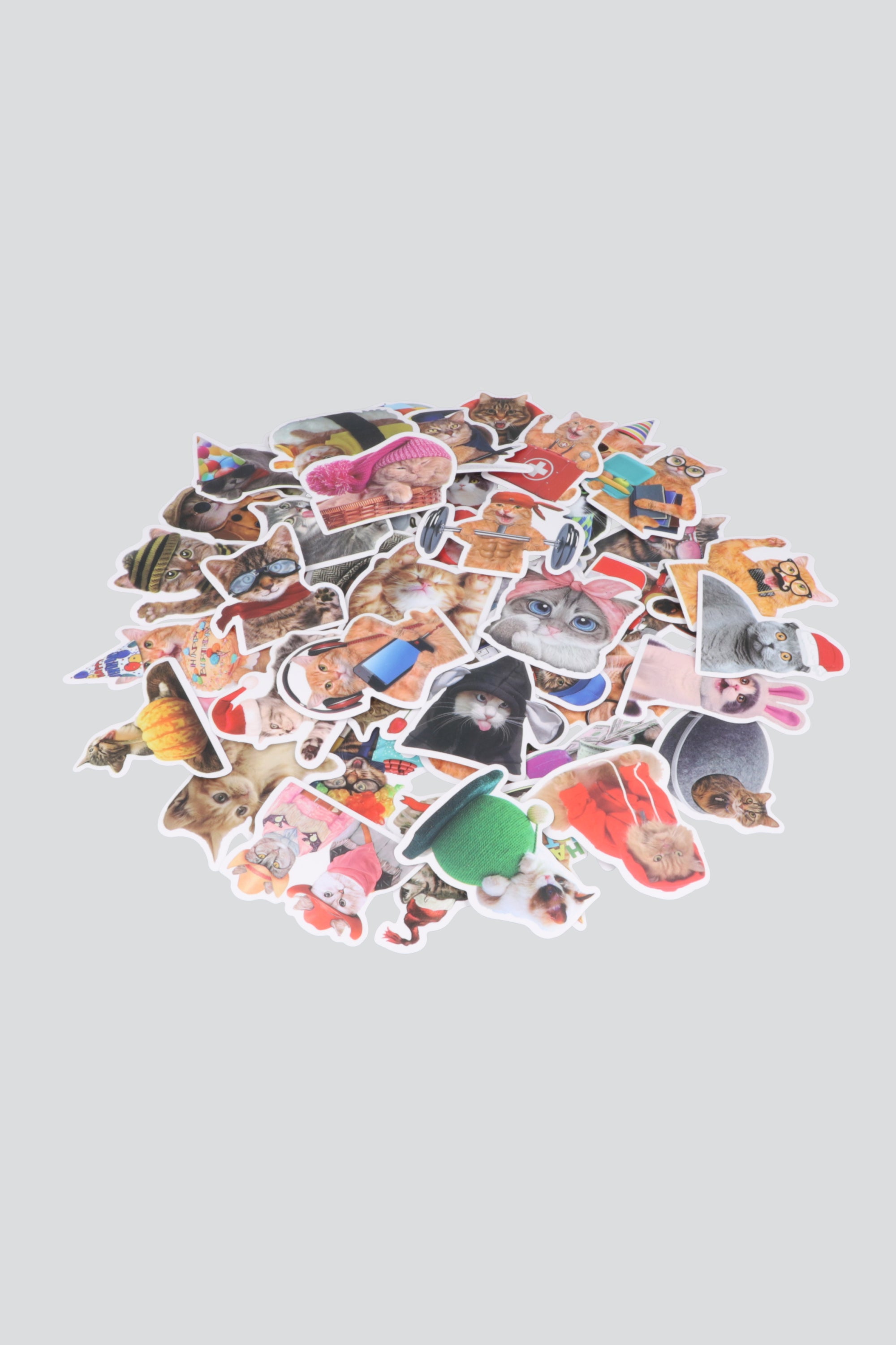 Set 50 stickers gatitos fun MULTICOLOR
